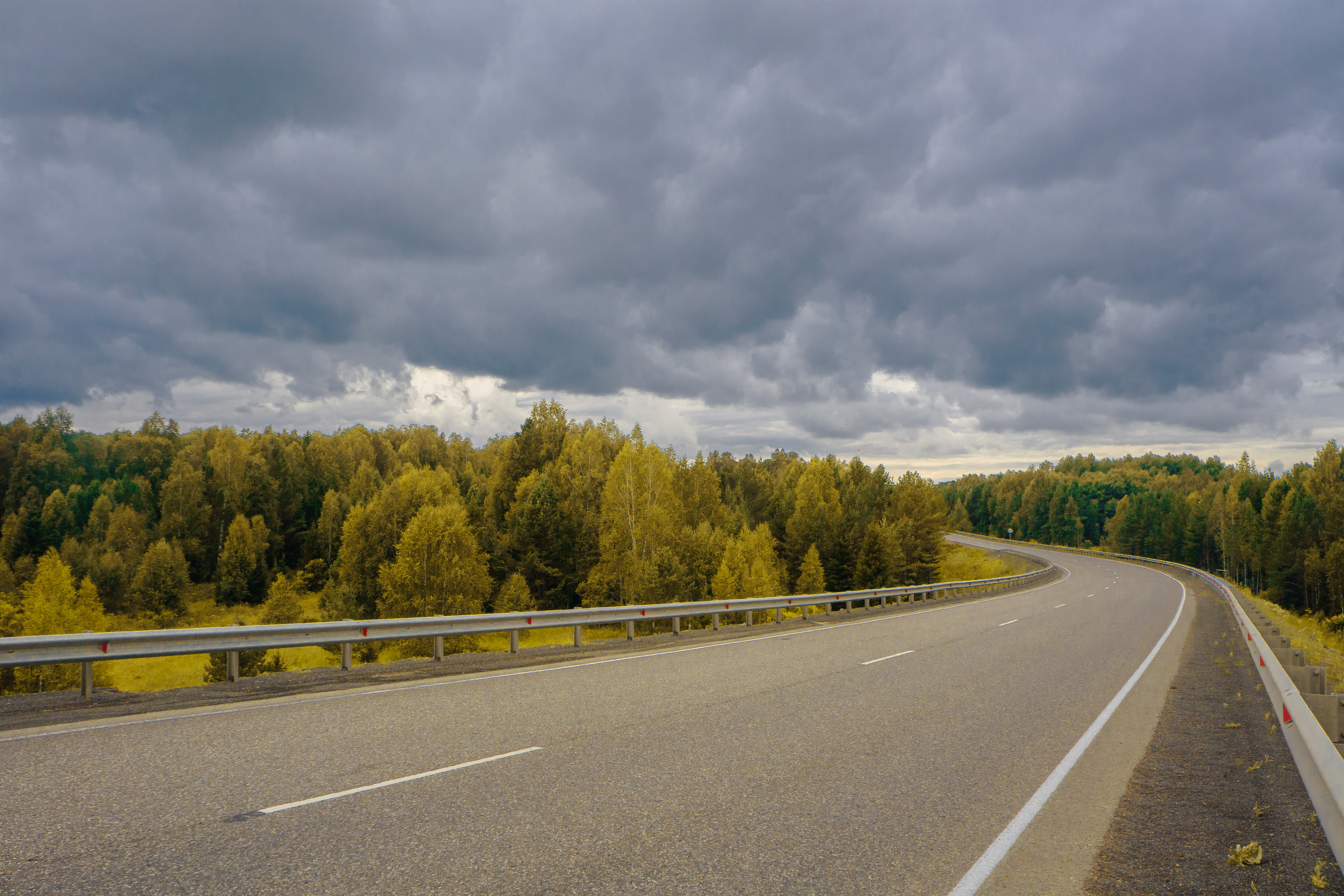 Free photo The road on a summer day