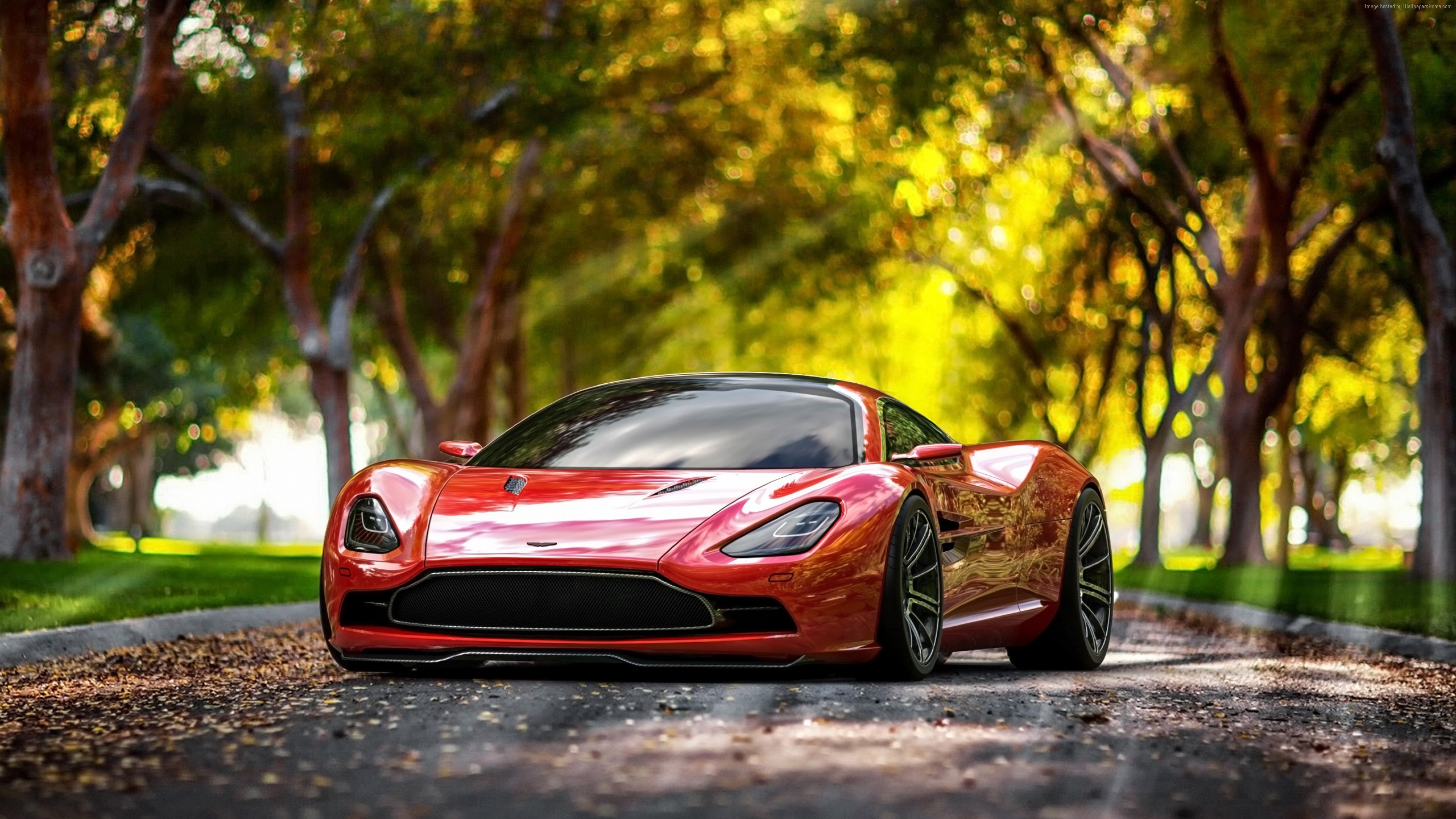 Wallpapers trees sun light wallpaper aston martin dbc on the desktop