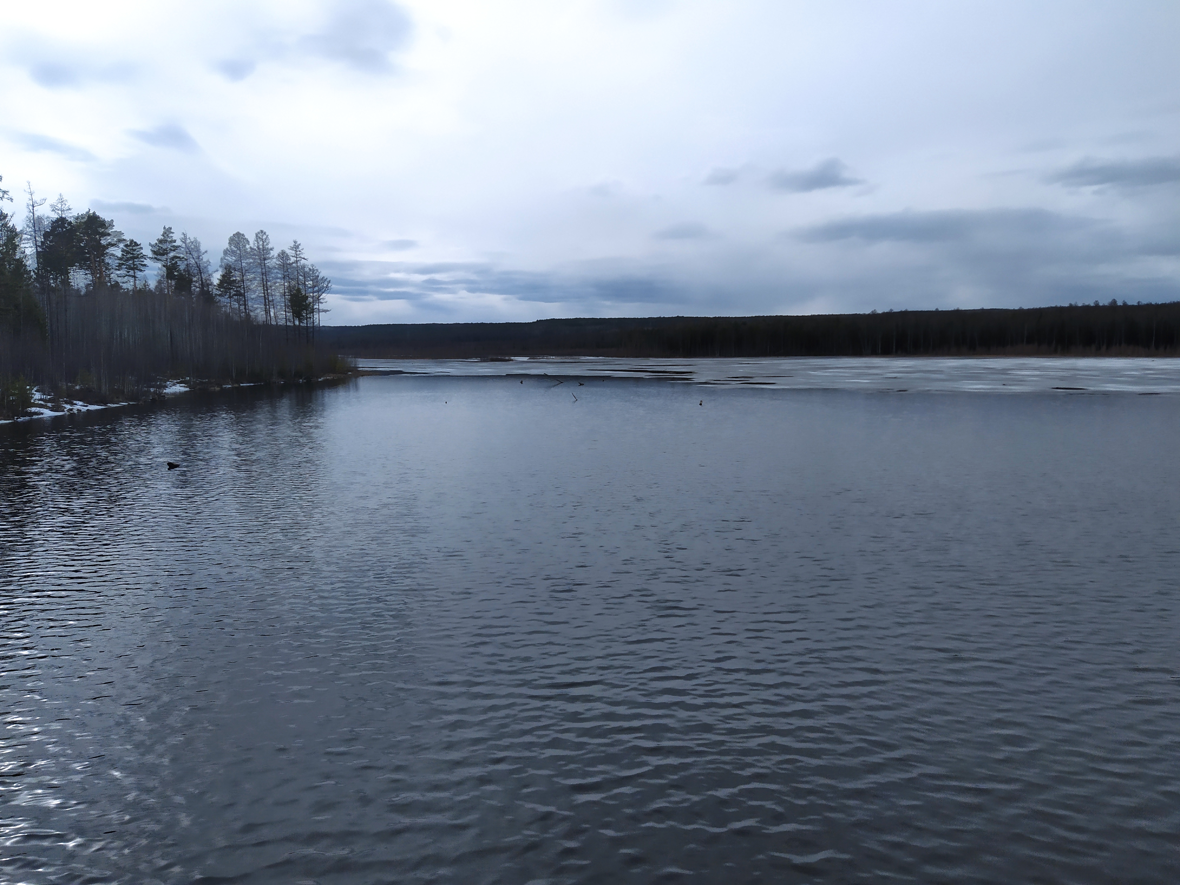 Wallpapers a river sky Forest on the desktop