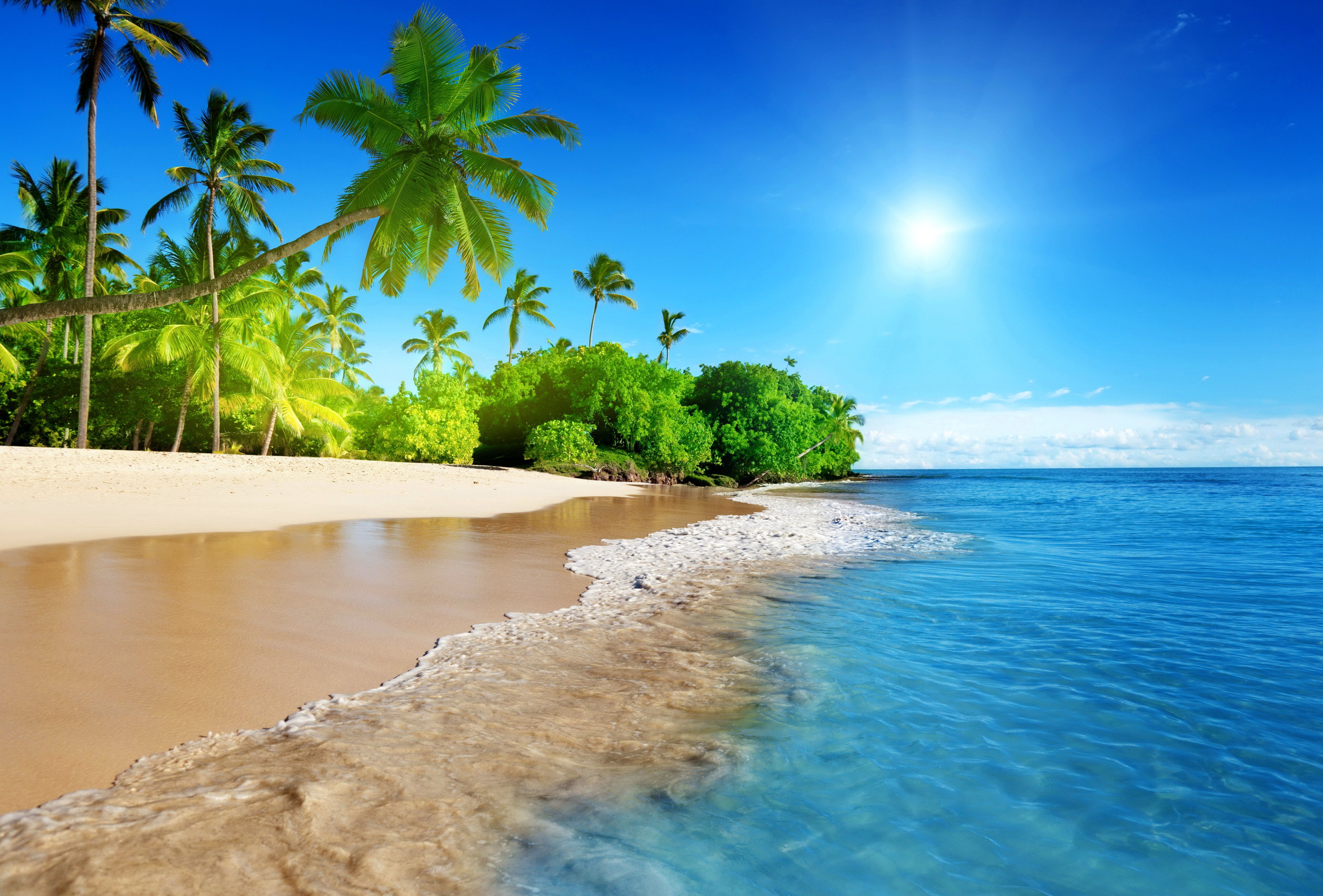 Wallpapers beach emerald tropical on the desktop