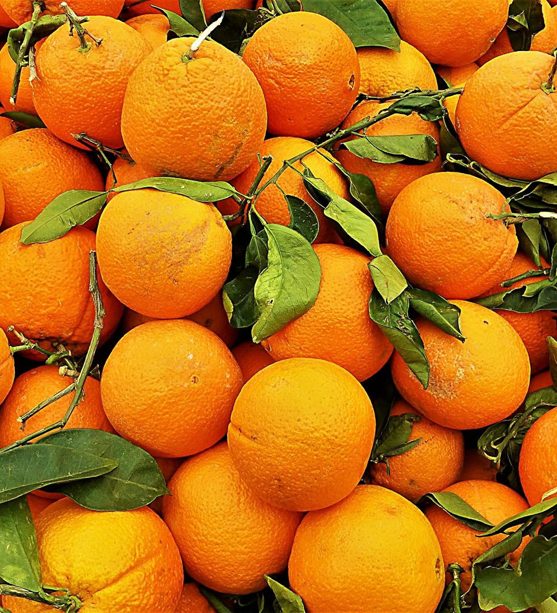 Wallpapers a bunch of tangerines tangerines food on the desktop