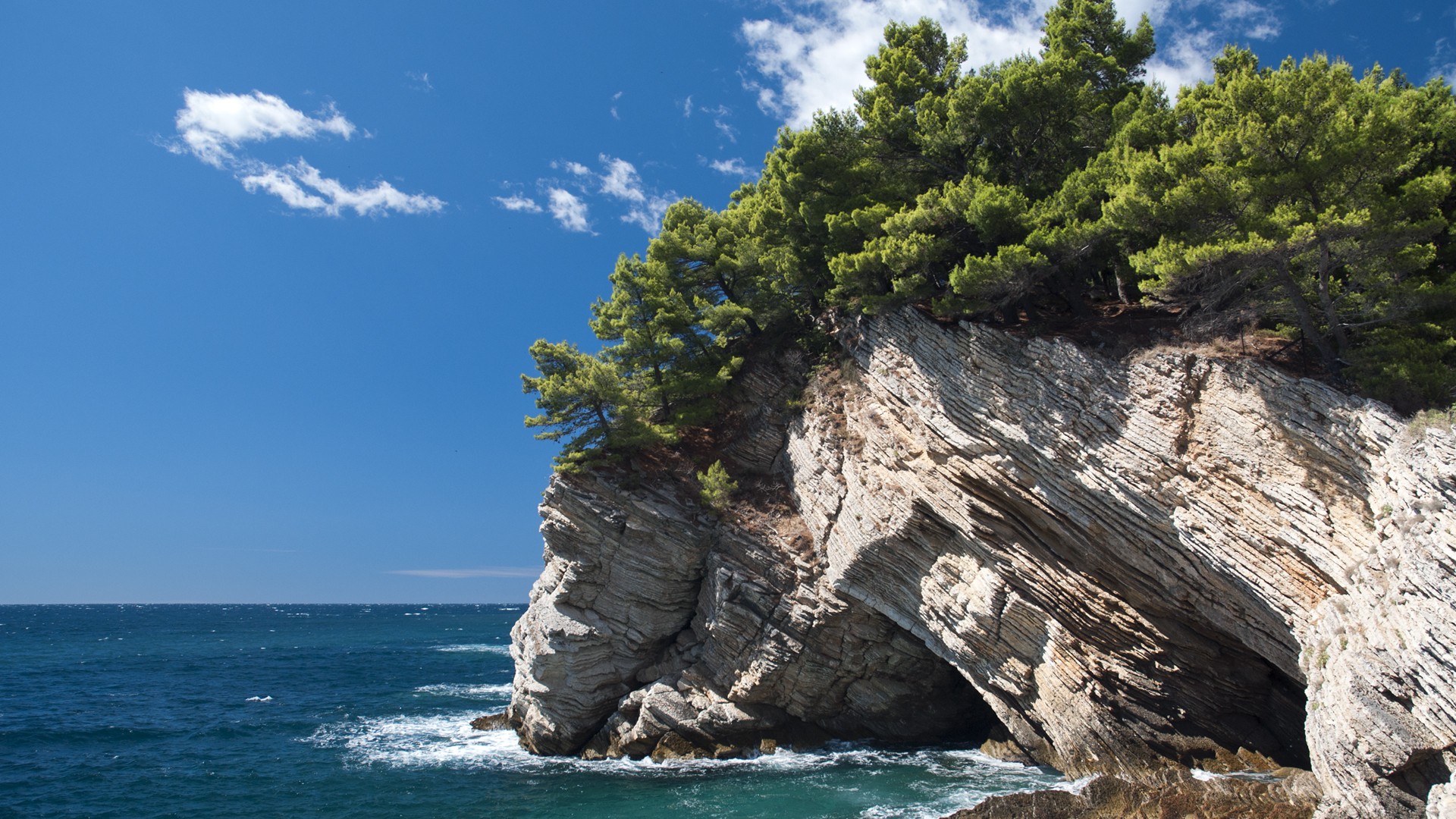 海边有树的岩石