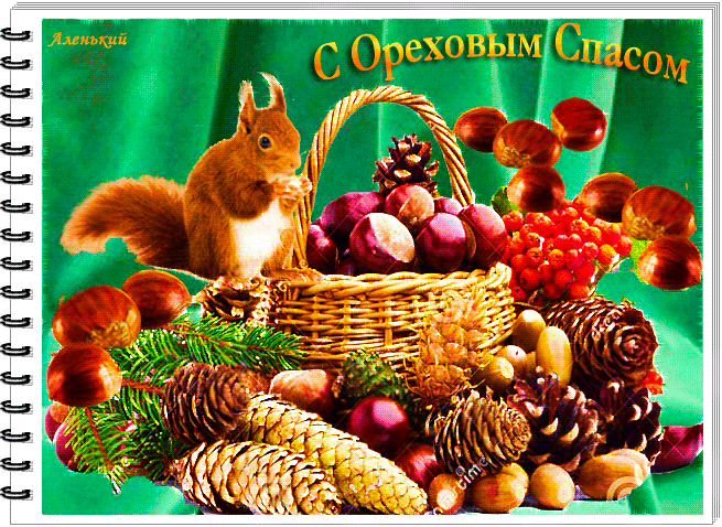 Открытка на тему орехи еда скачать бесплатно