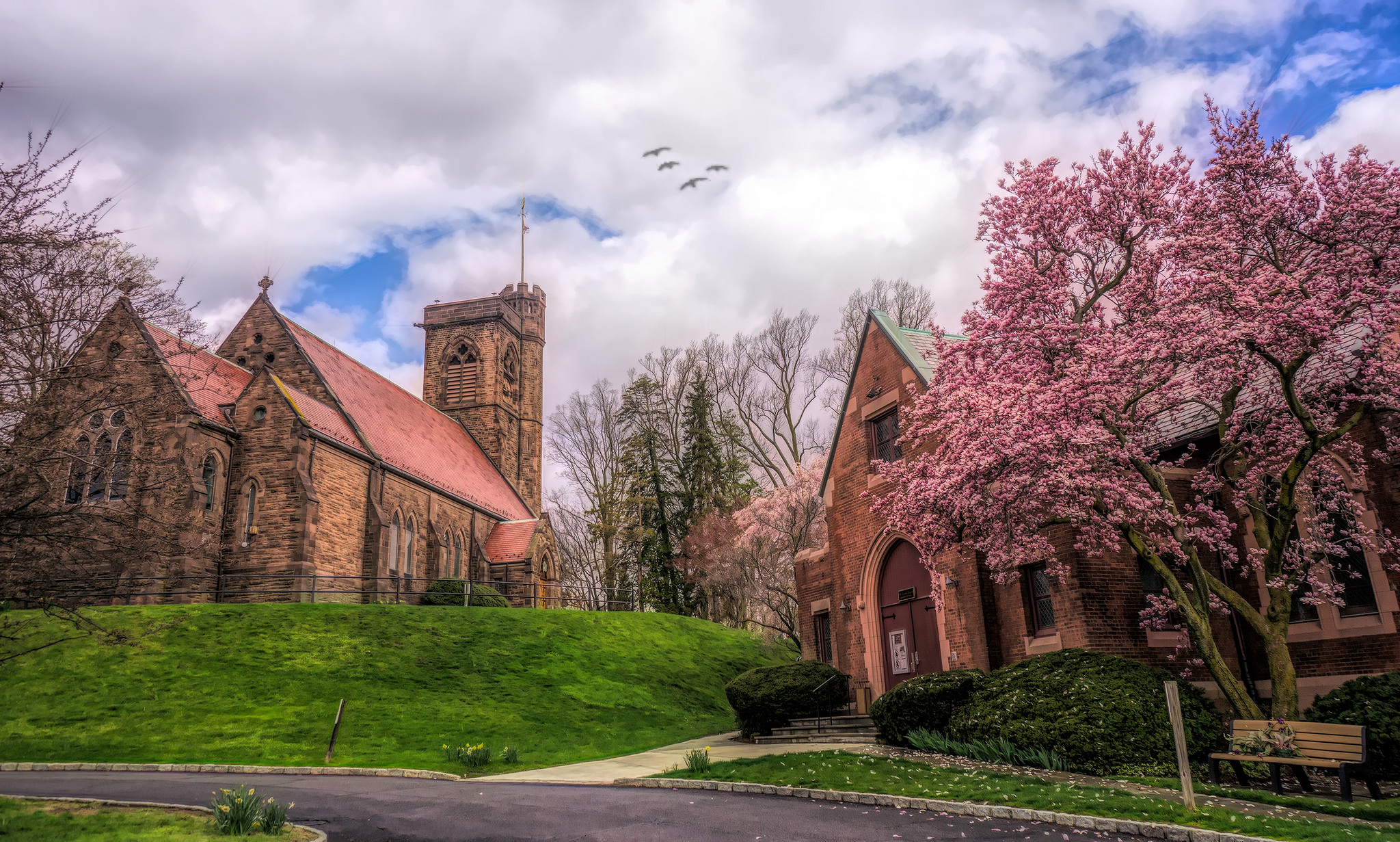 Wallpapers church trees Canada on the desktop