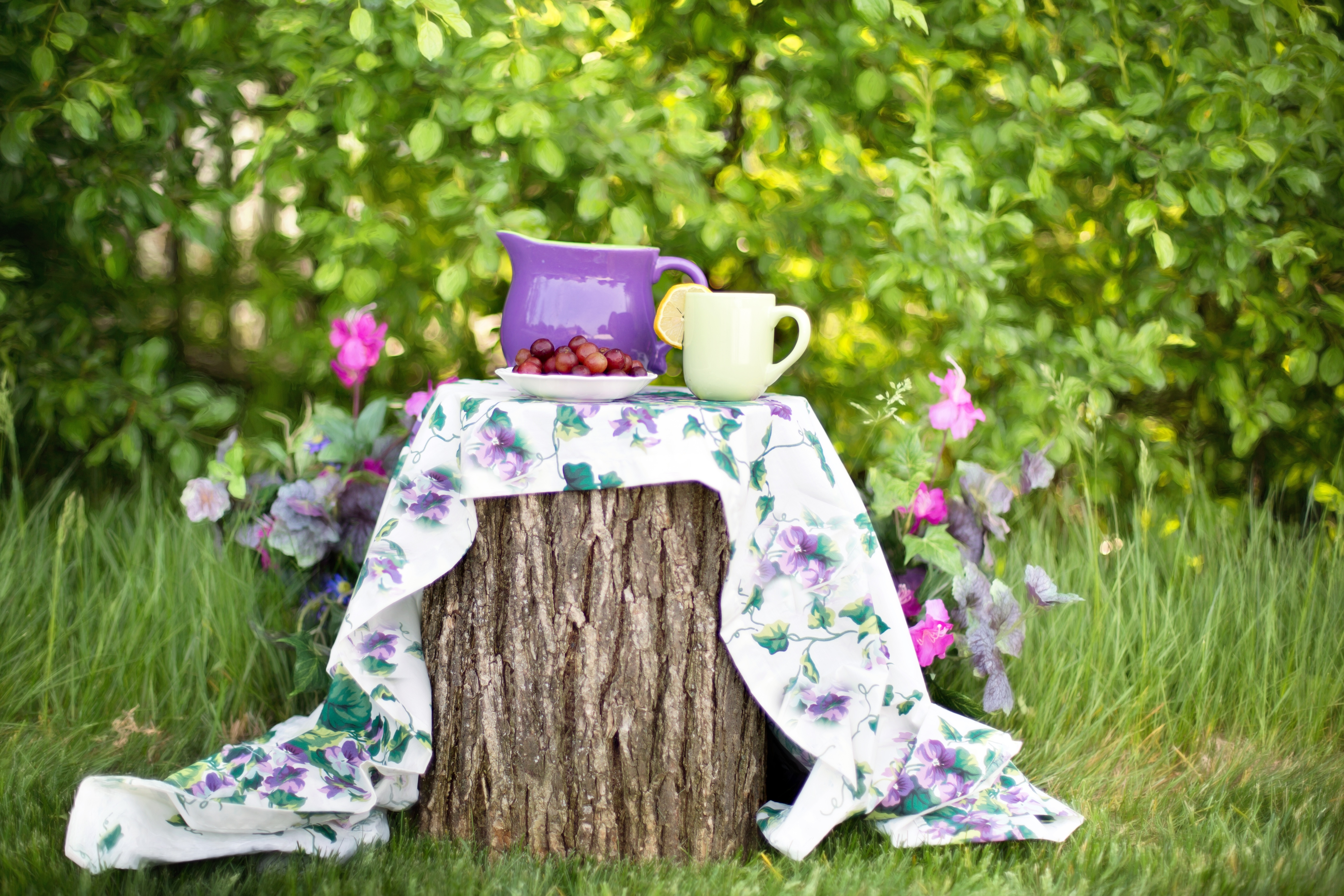 Free photo Summer picnic on a forest stump