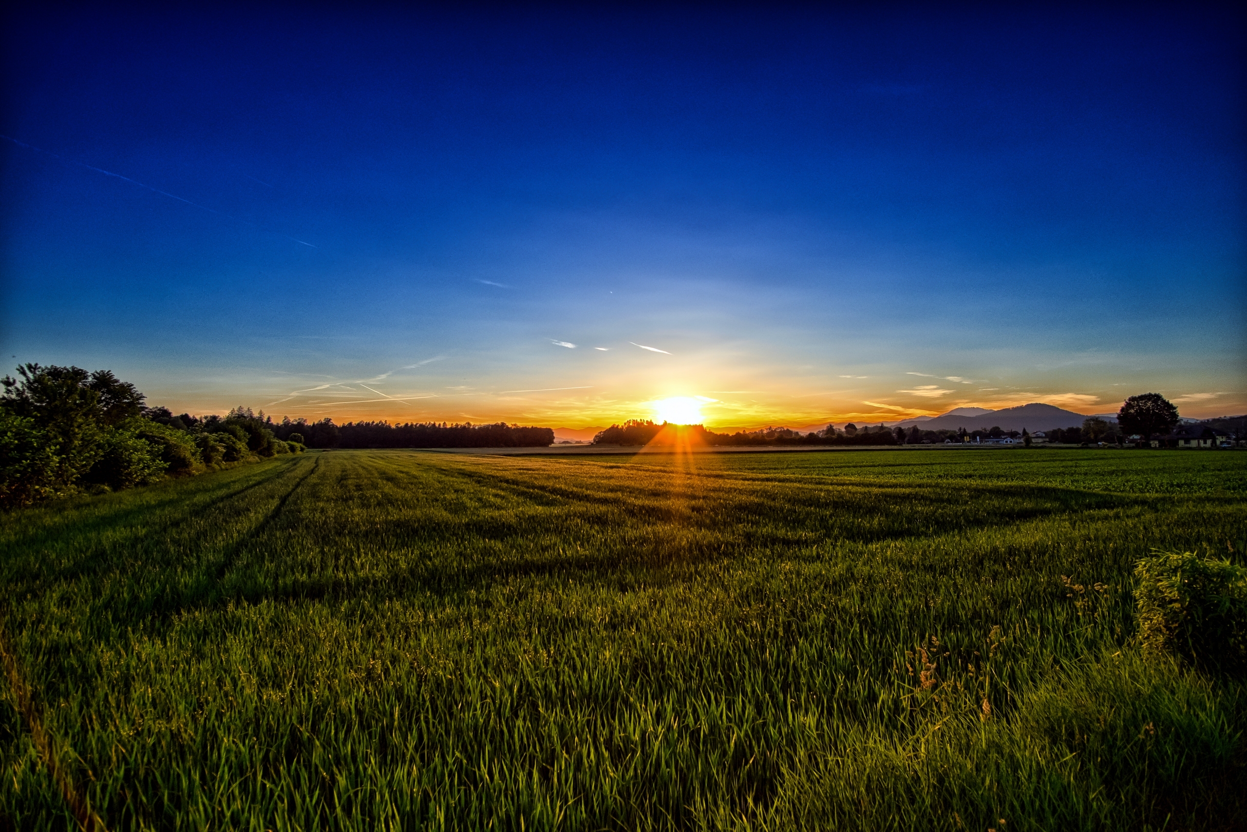 Free photo A green field at sunset