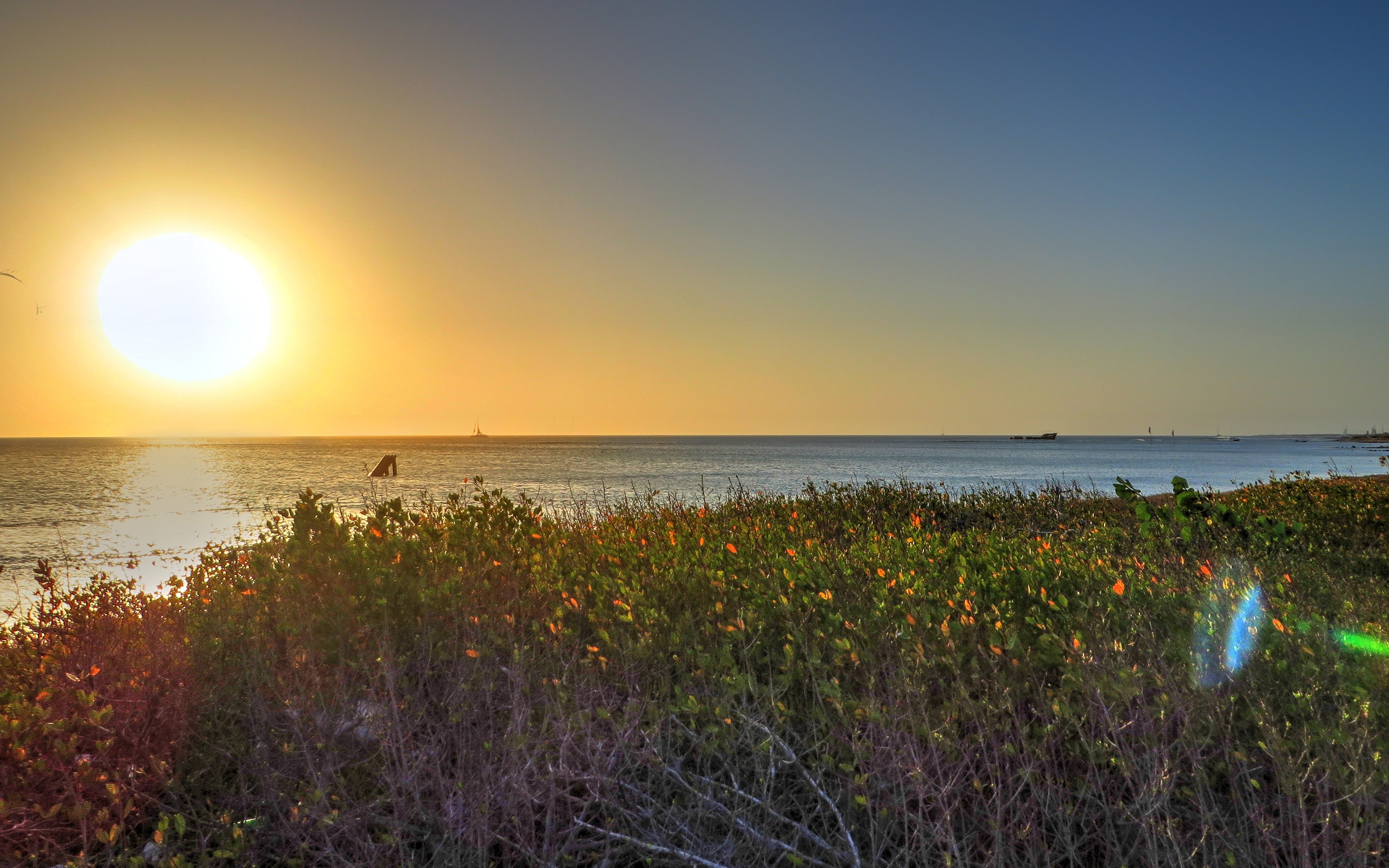 Бесплатное фото Восход солнца на побережье моря