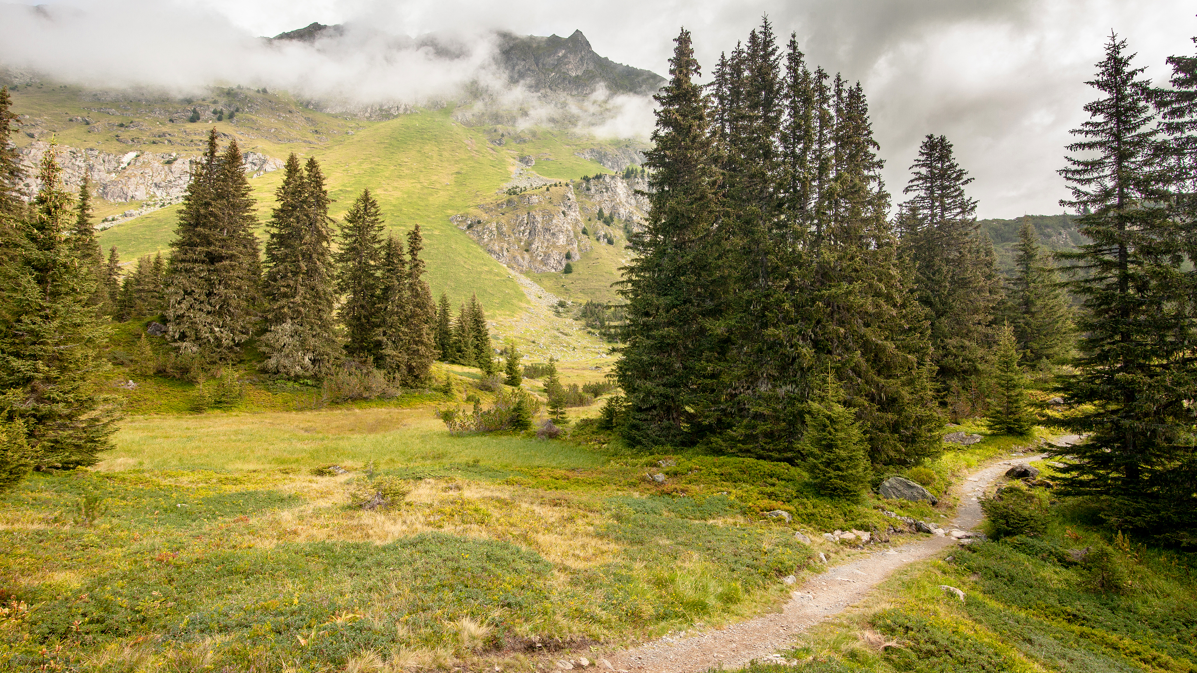 Free photo Green mountains