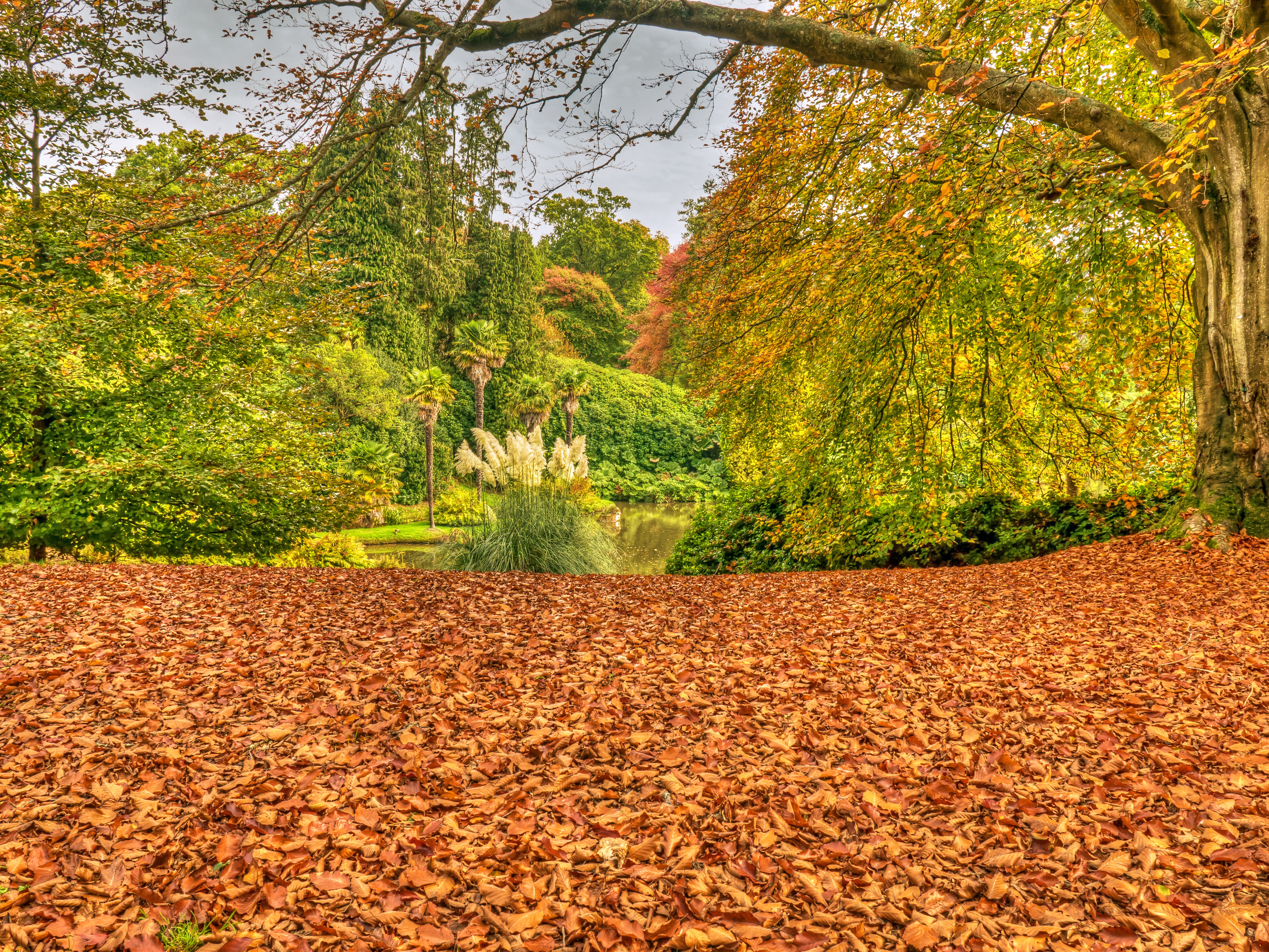 Обои осень Sheffield Park Англия на рабочий стол