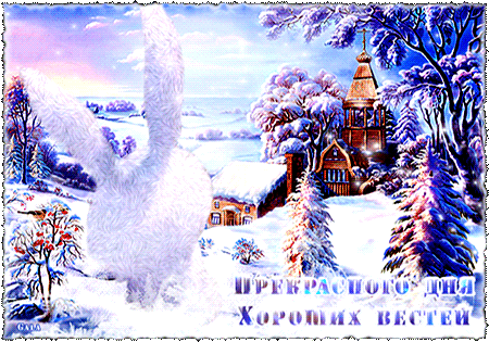 主题为美丽的 天数 兔子的明信片免费下载