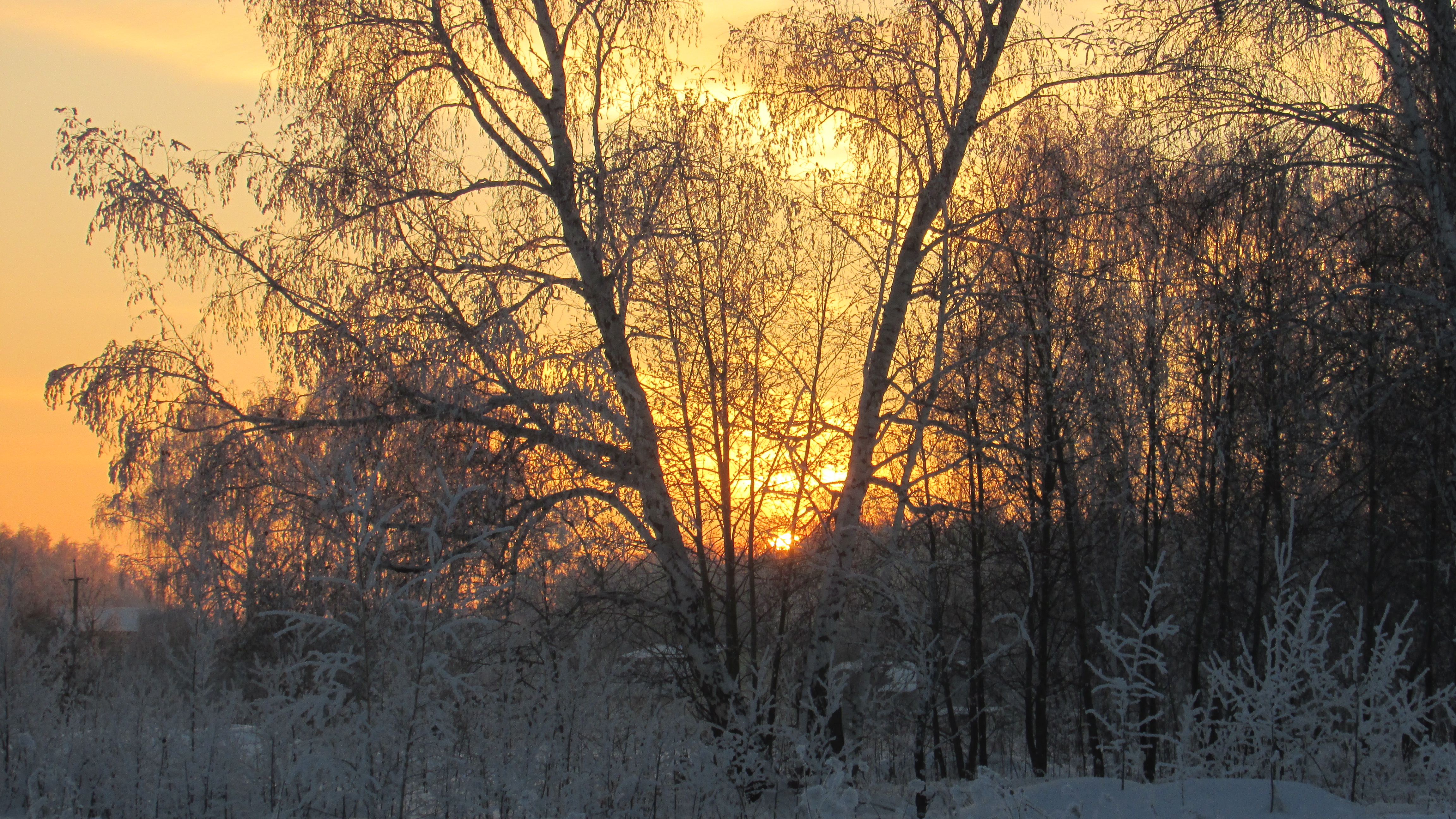 冬天的夕阳