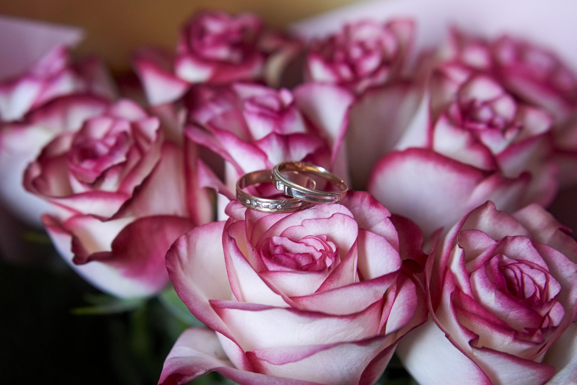 Free photo Bouquet of white and pink roses