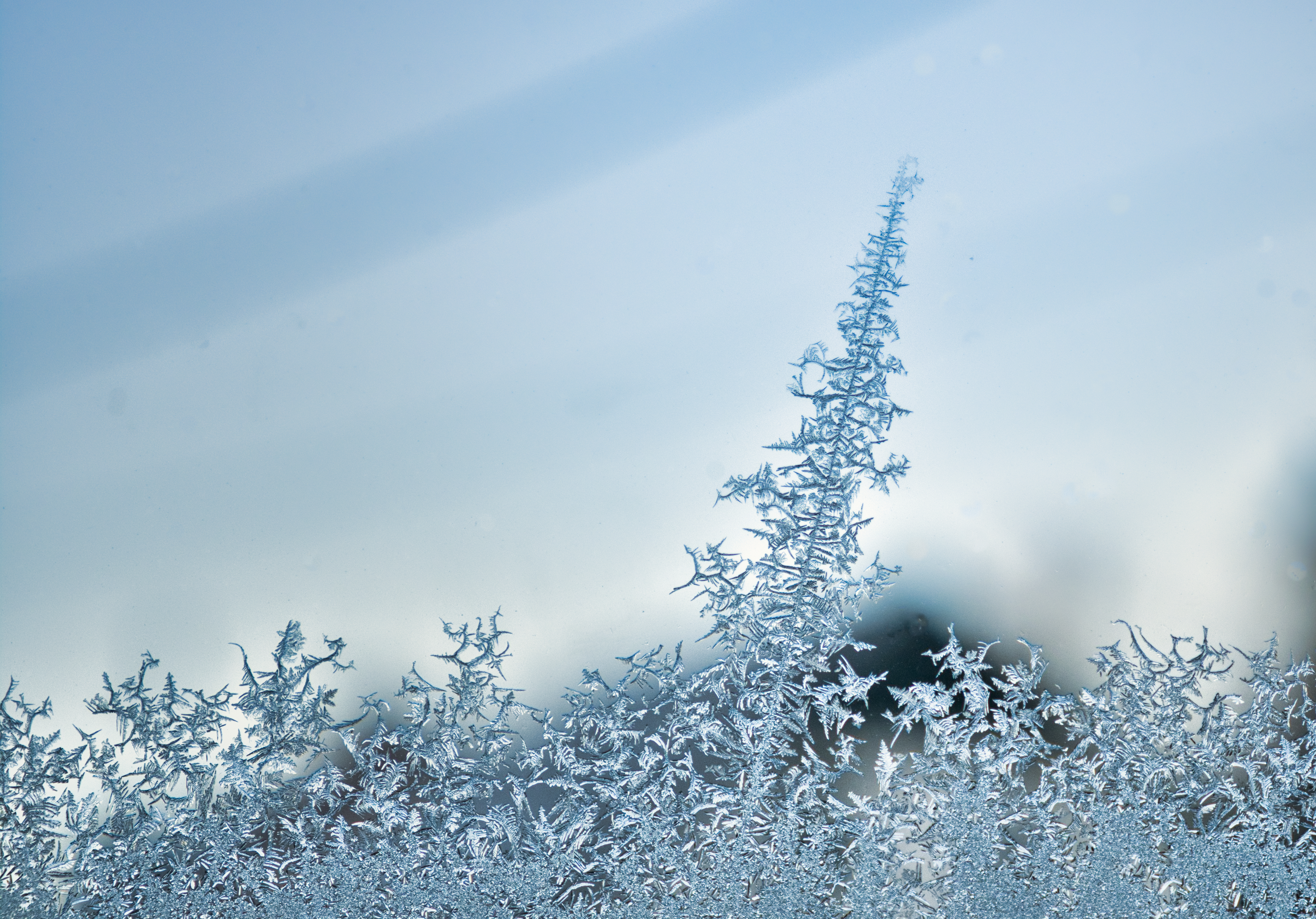 Free photo Frost on the glass