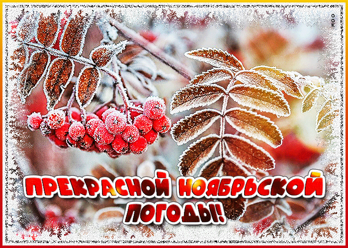 主题为十一月的美丽天气 防雾 寒冷的的明信片免费下载