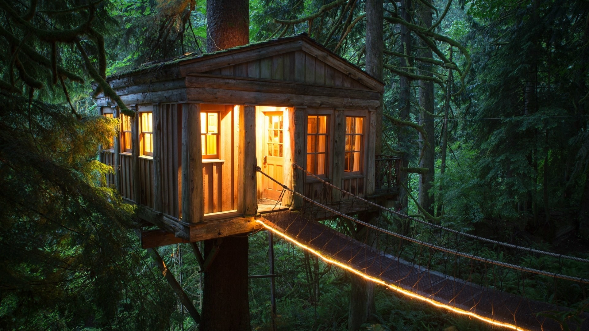 Free photo Tree house