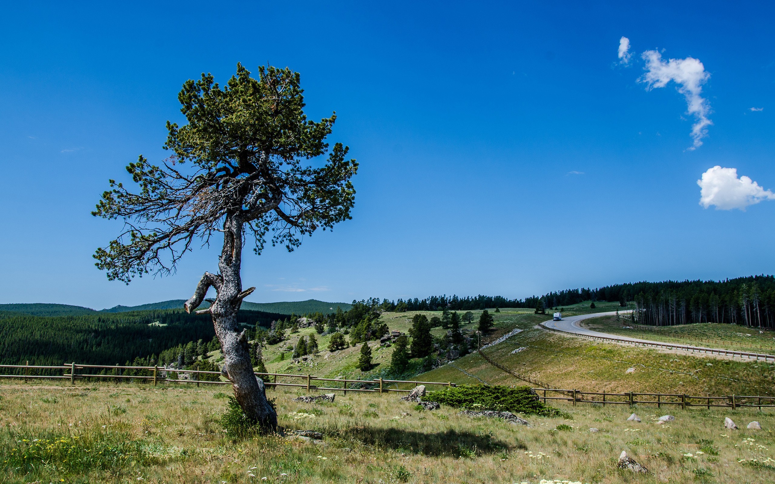 Бесплатное фото Родные края