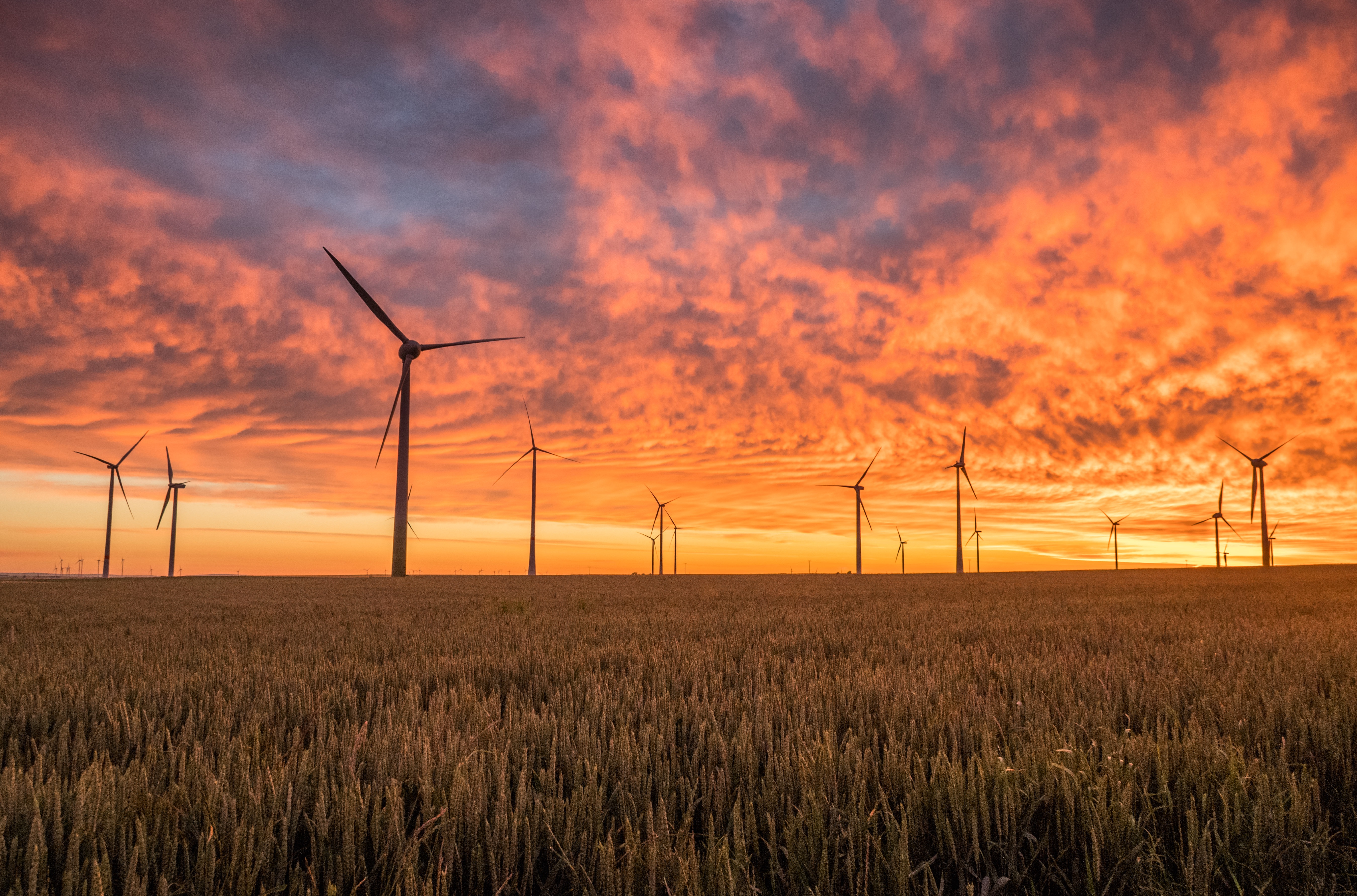 Wind farm at sunset
