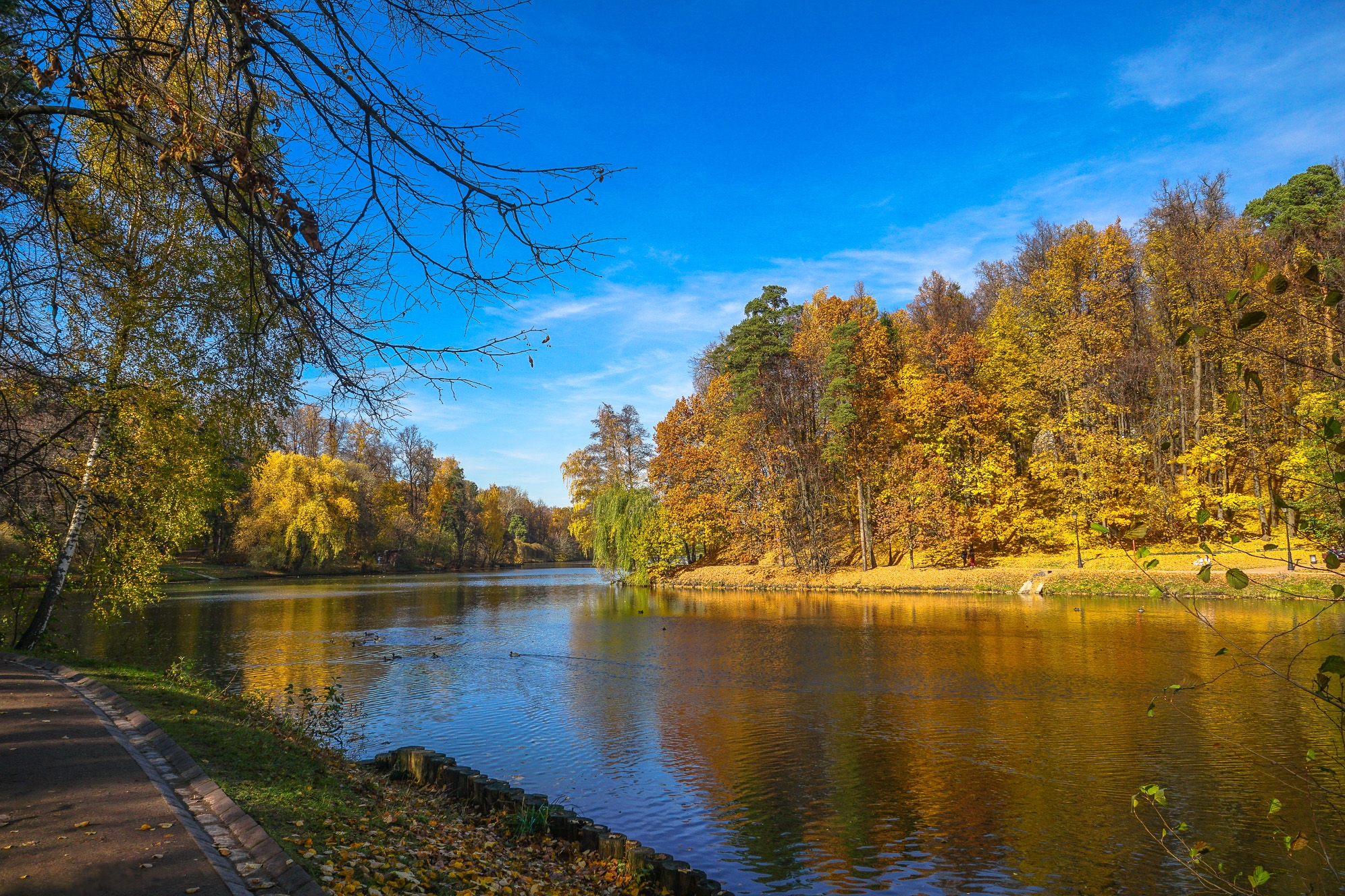 Wallpapers autumn autumn colors manor on the desktop