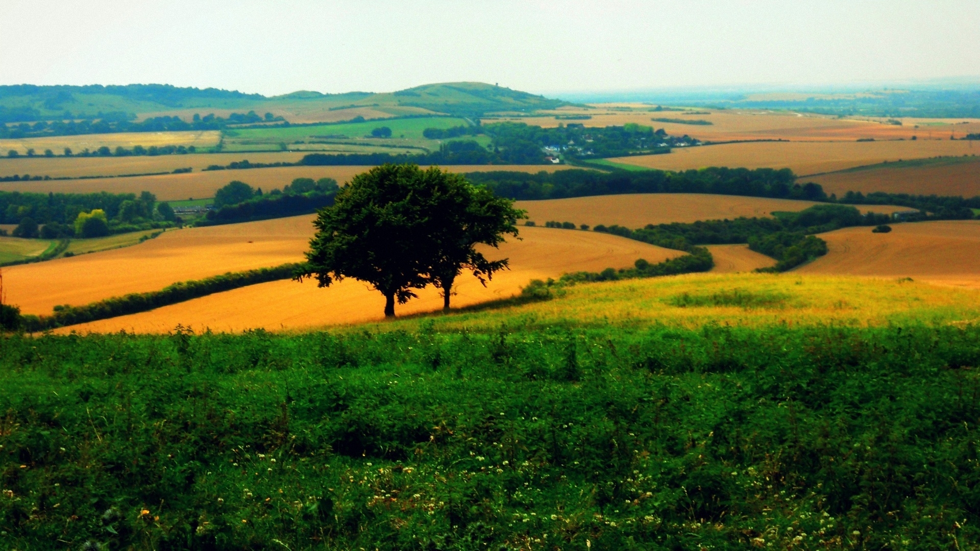 Free photo The expanse of summer fields