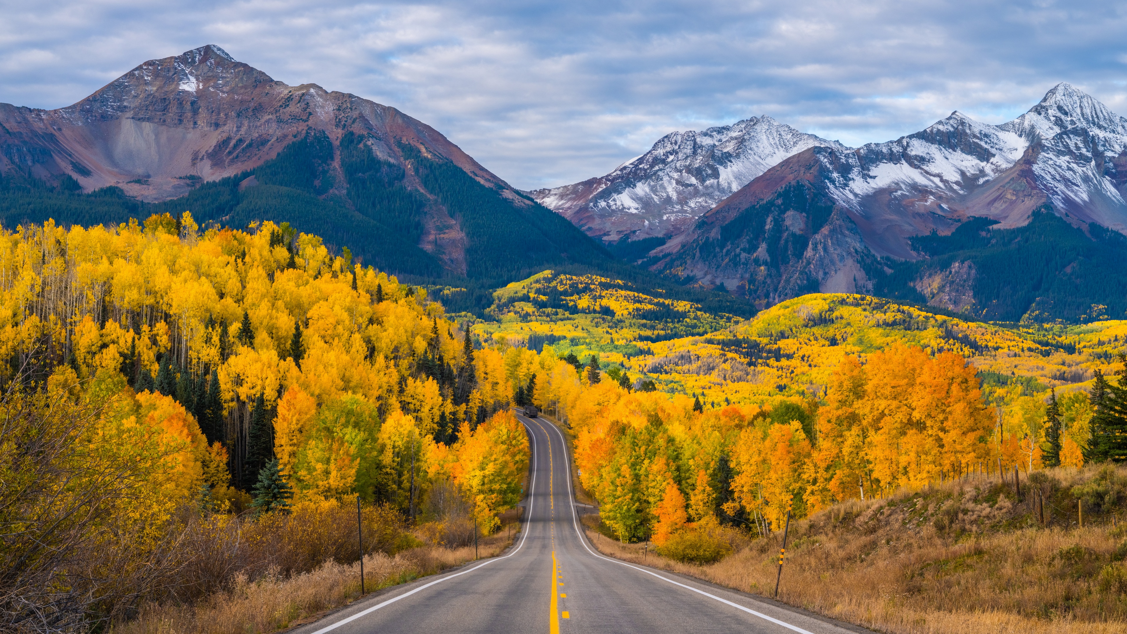 Free photo Asphalt road along the trees with yellow leaves