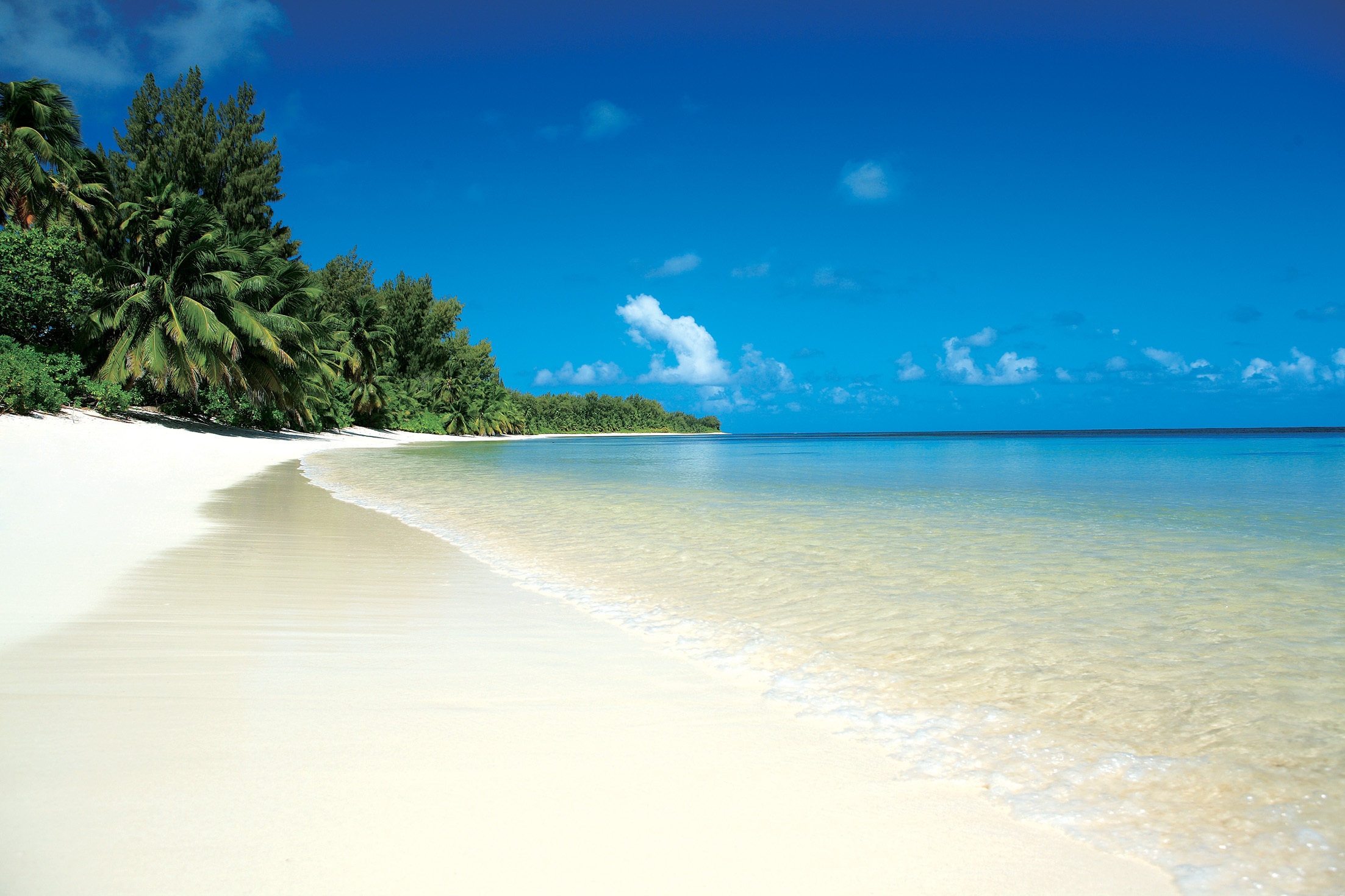 A tropical beach with white sand, crystal clear water, and palm trees against a blue sky.