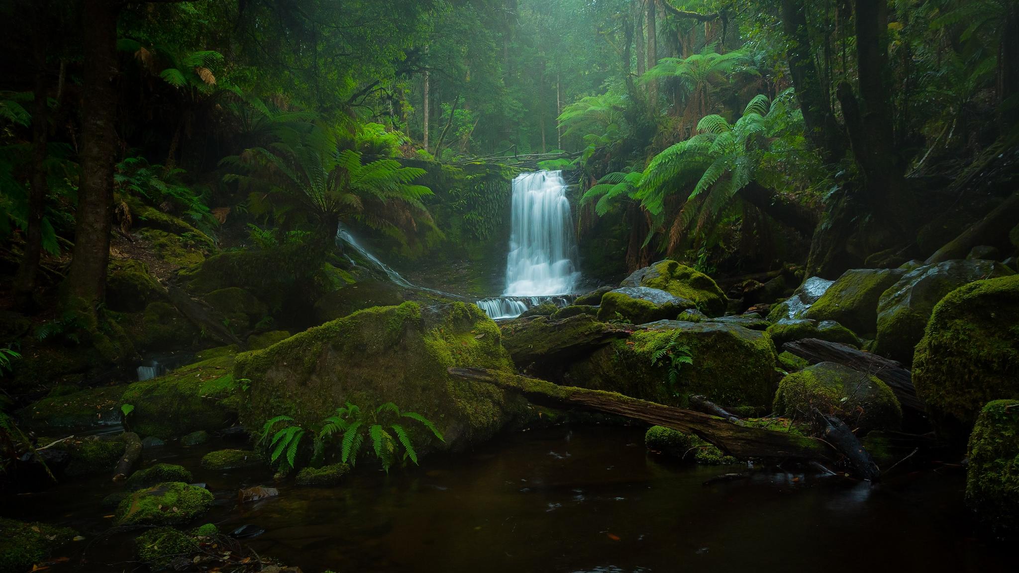 Обои Horseshoe Falls лес деревья на рабочий стол