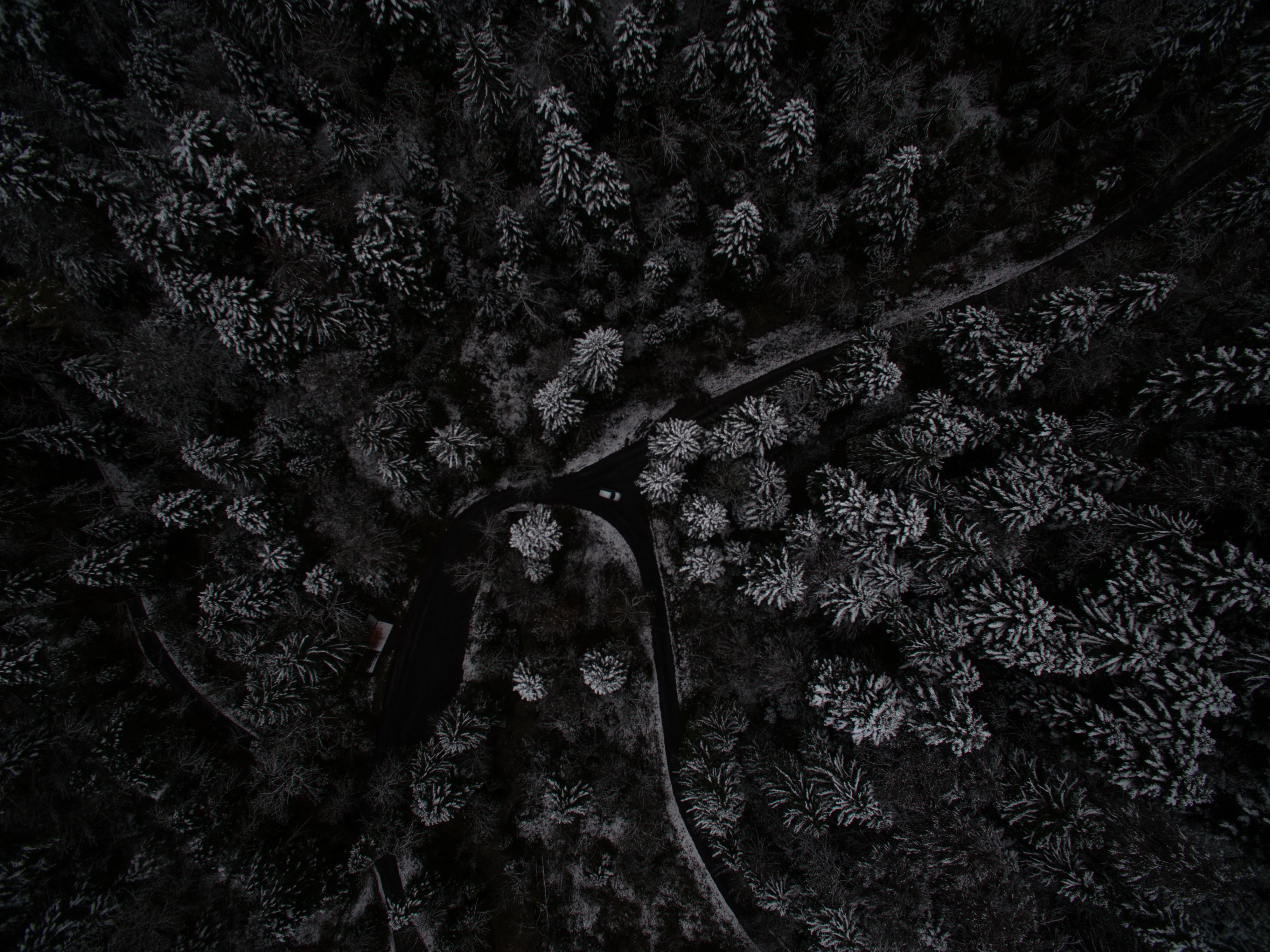 Free photo A drone`s view of the road among the Christmas trees