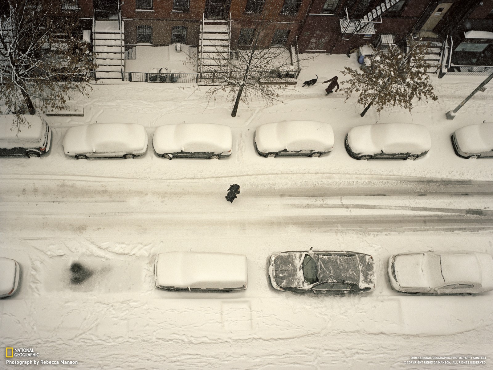 Обои чертеж белый монохромный на рабочий стол