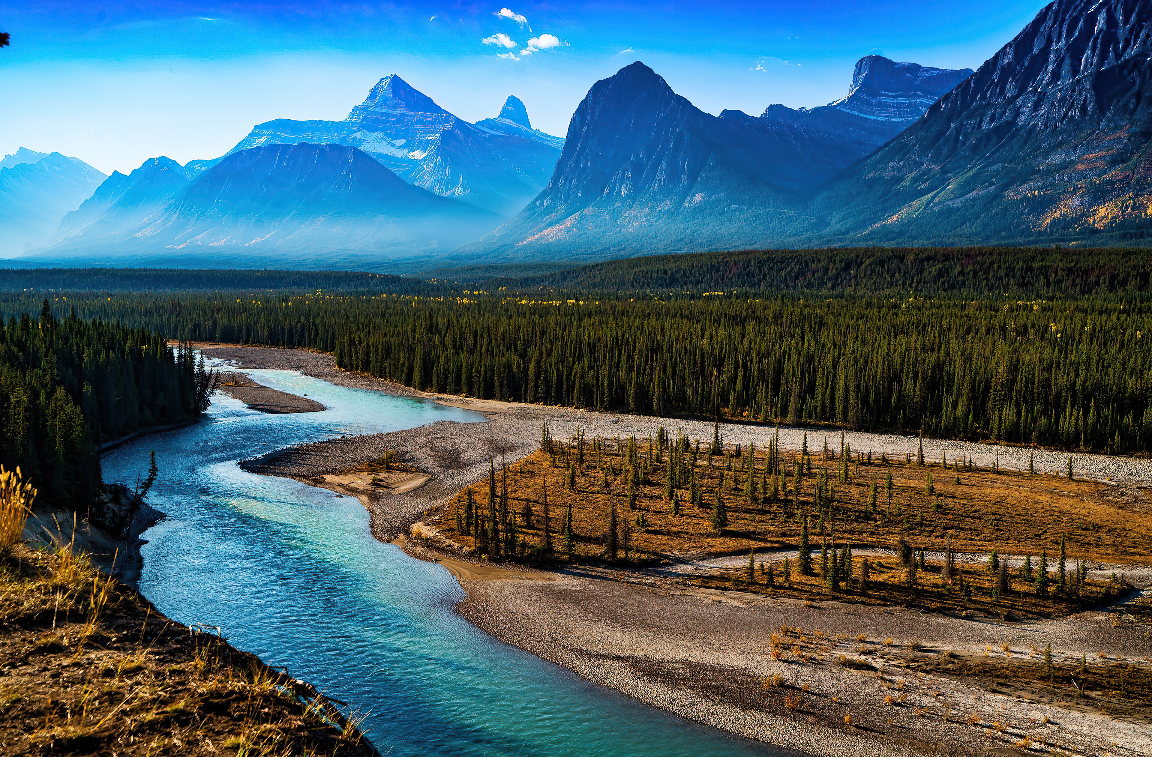 Free photo Shallow river along the spruce trees