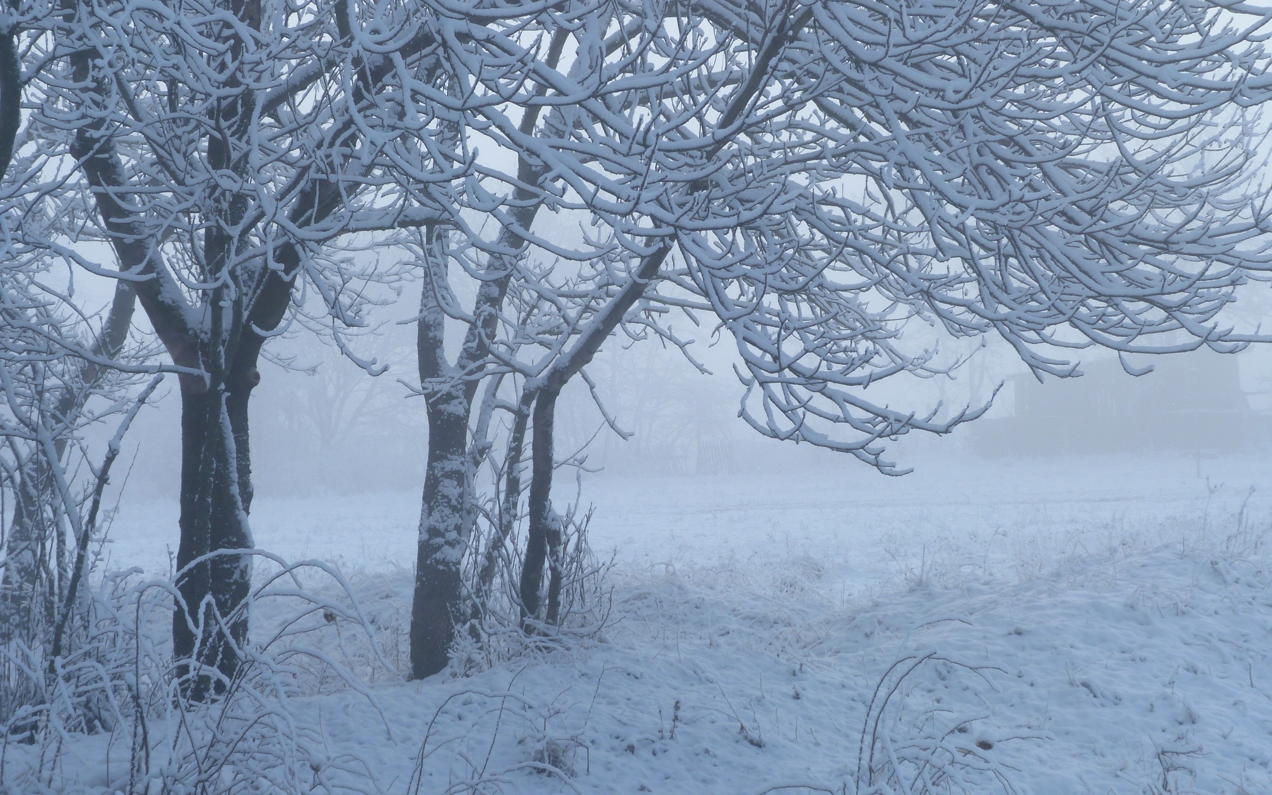 Wallpapers winter storm rain and snow mixed weather on the desktop