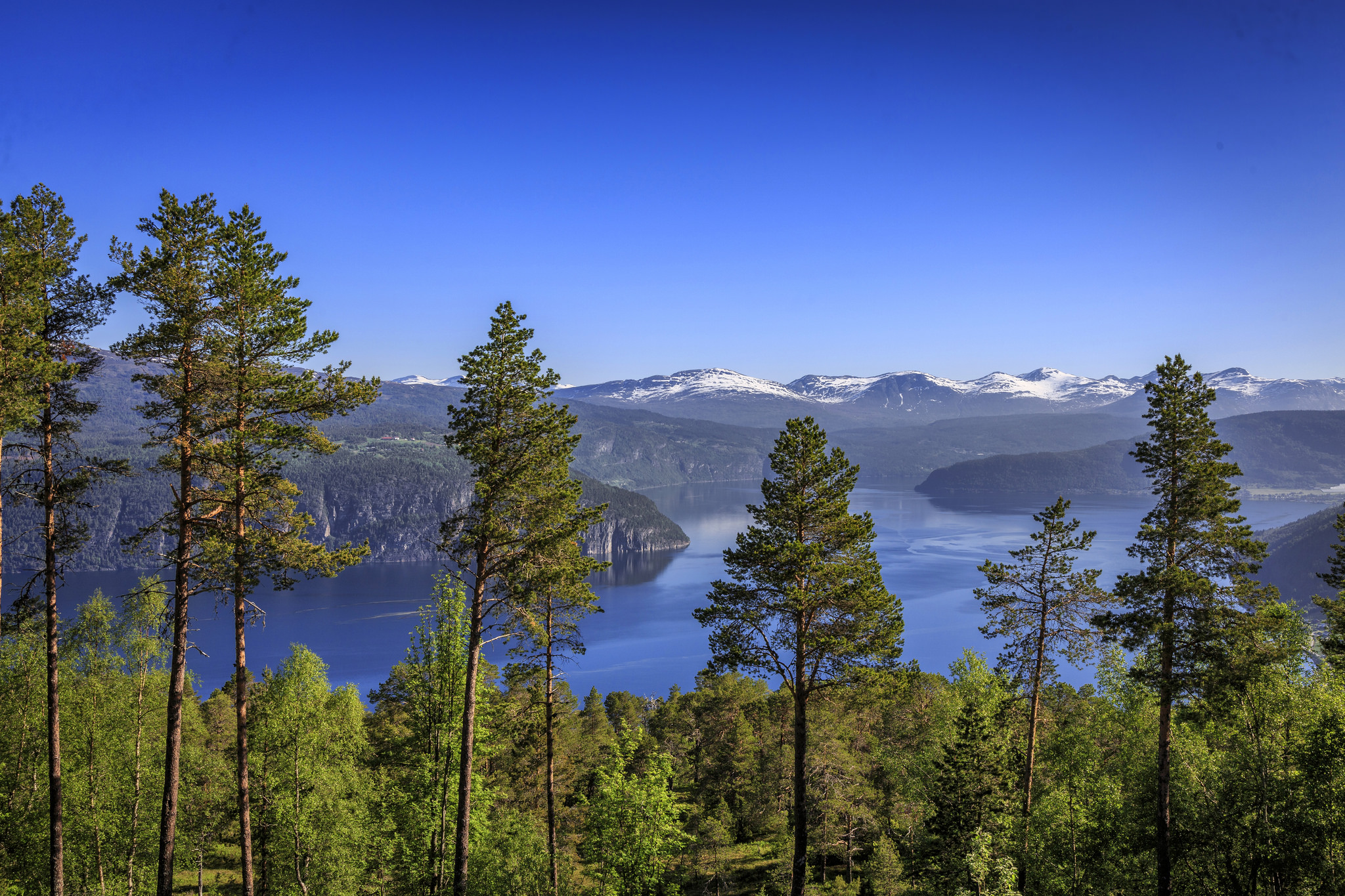 桌面上的壁纸挪威 峡湾湾区（Sogn og fjordane） 乌特维克