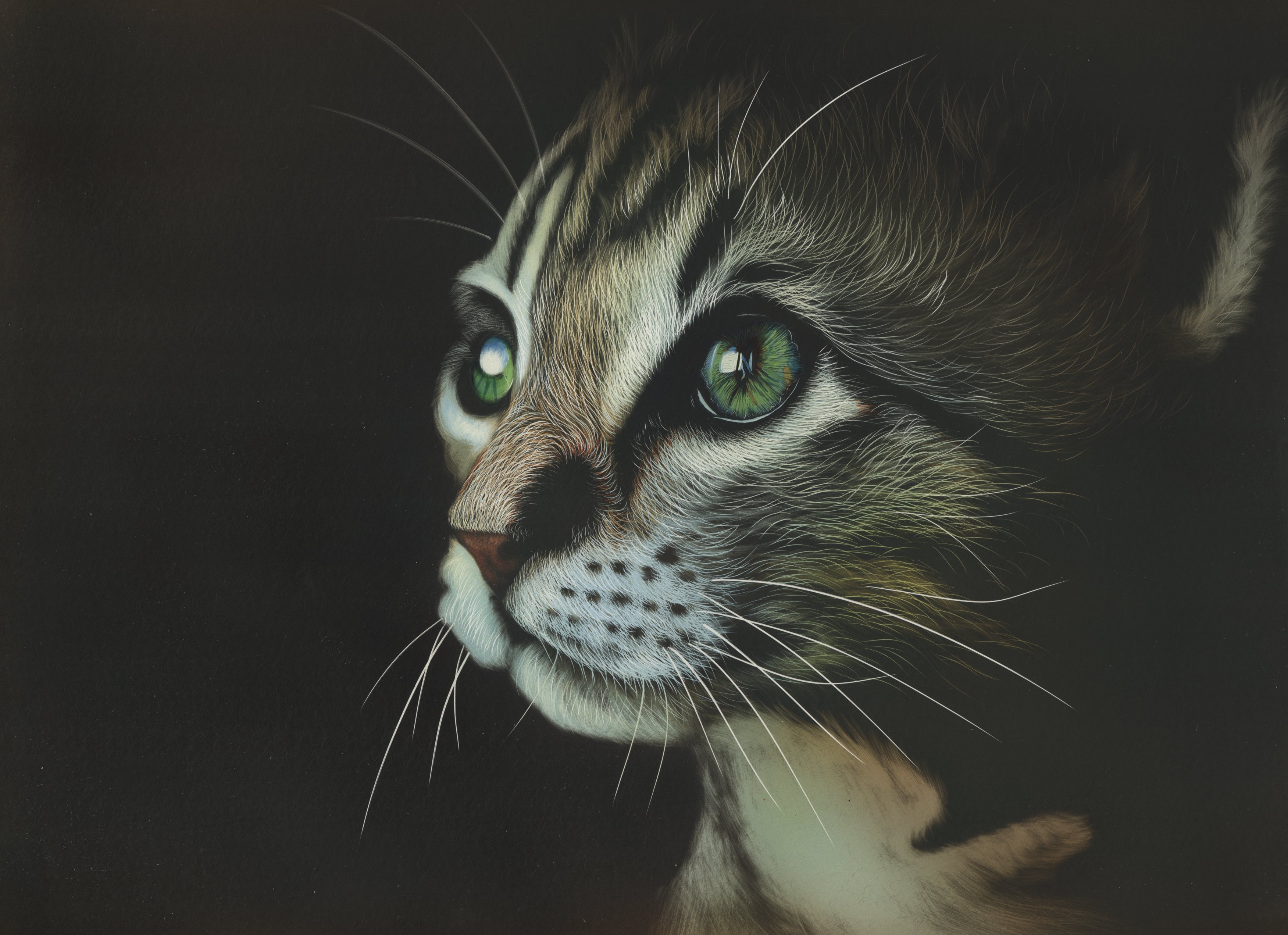 Free photo Painted face cat