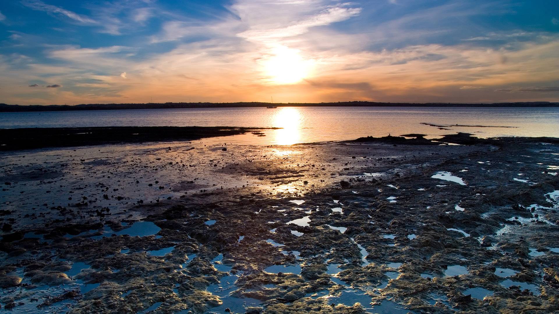 Wallpapers shore shoal lake on the desktop