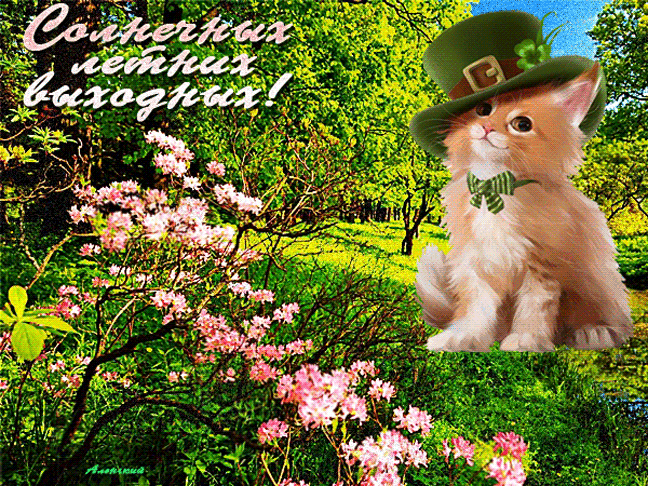 Открытка на тему котик кошки скачать бесплатно