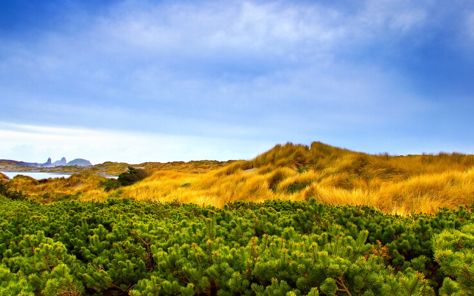 Wallpapers landscape colorful hill on the desktop