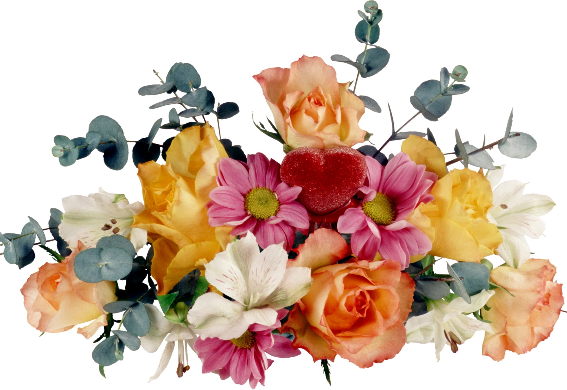 Free photo Bouquet of different flowers on white background