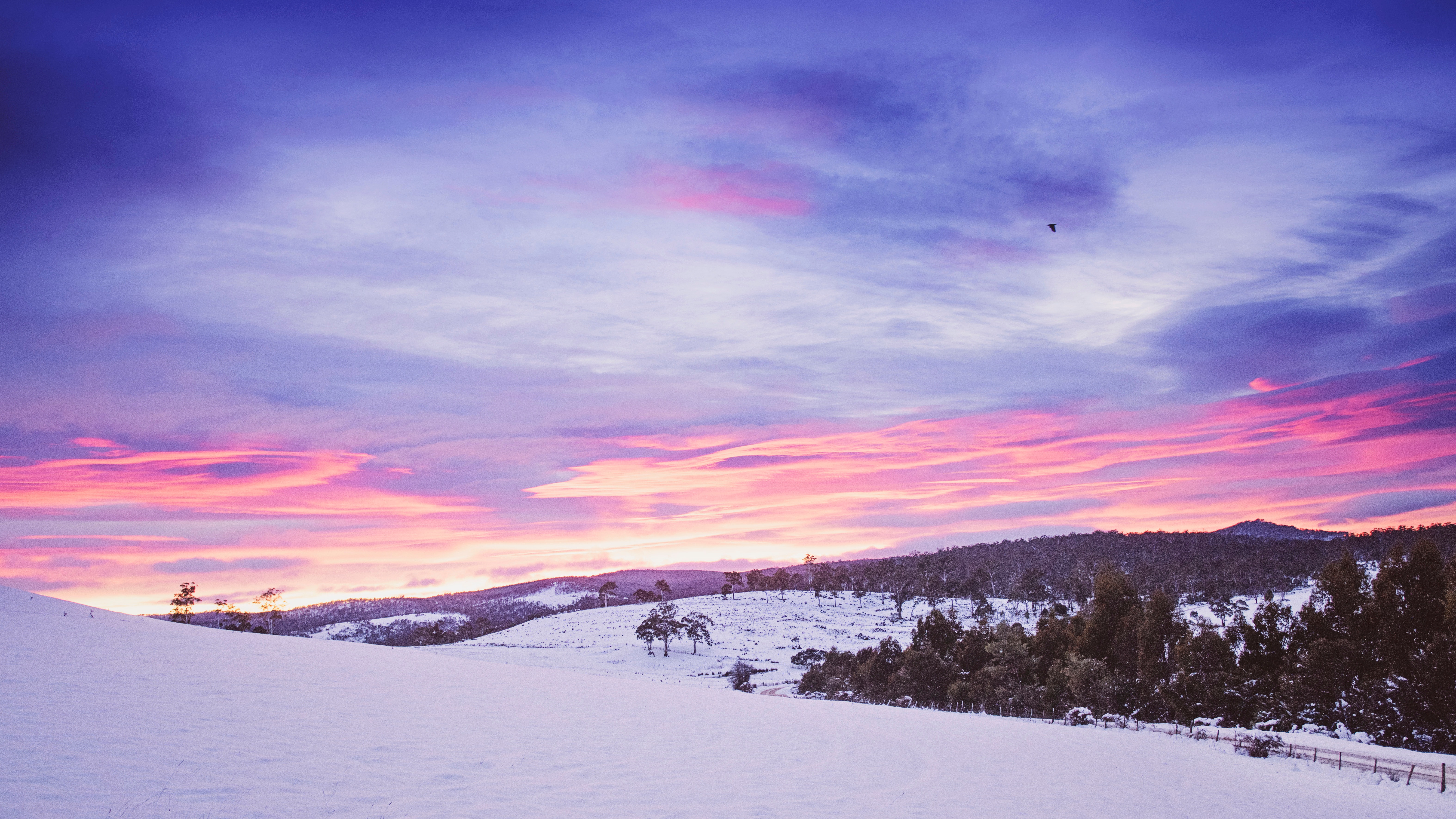 免费照片夕阳西下的雪原