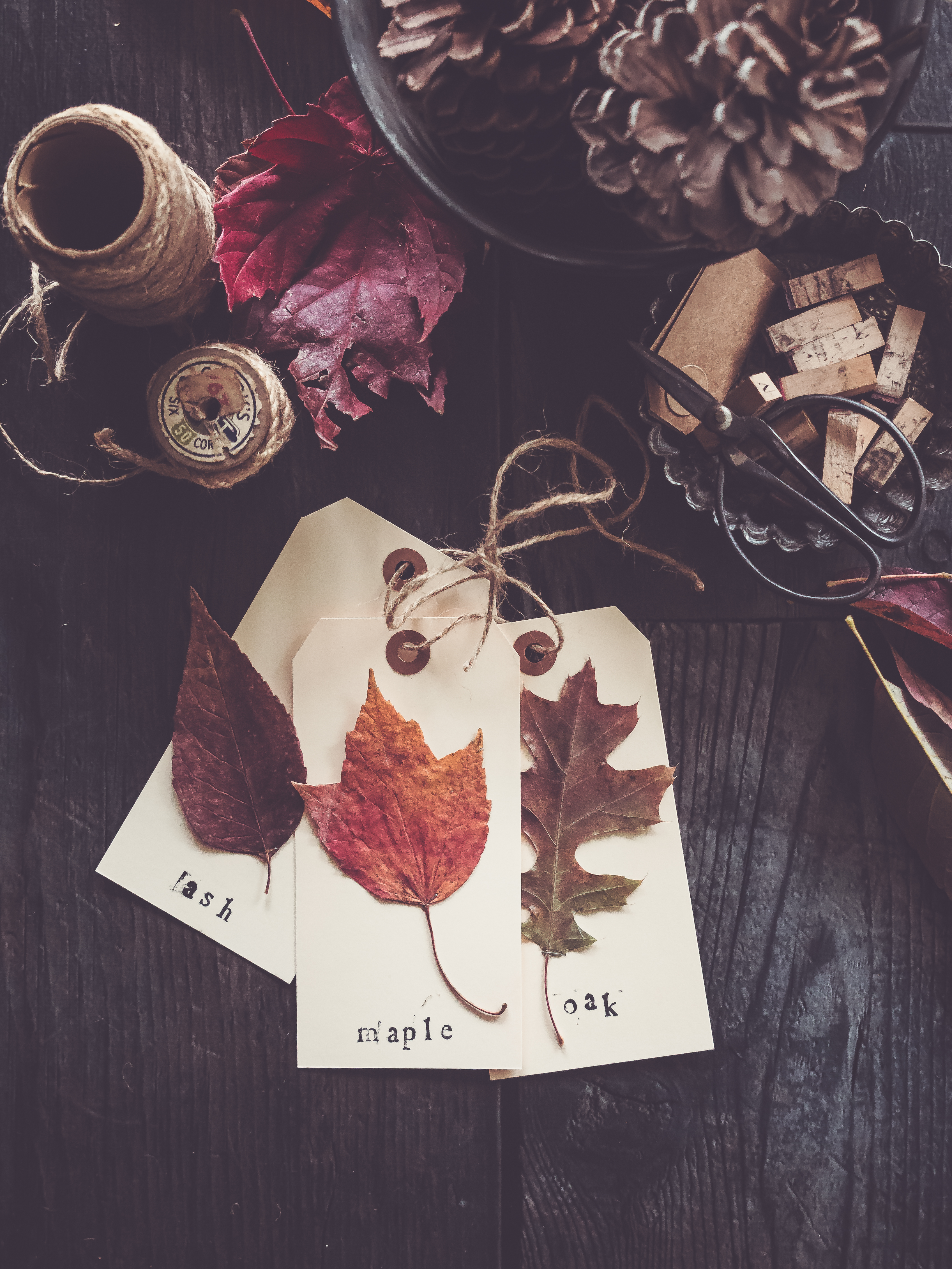 Wallpapers autumn foliage rustic on the desktop