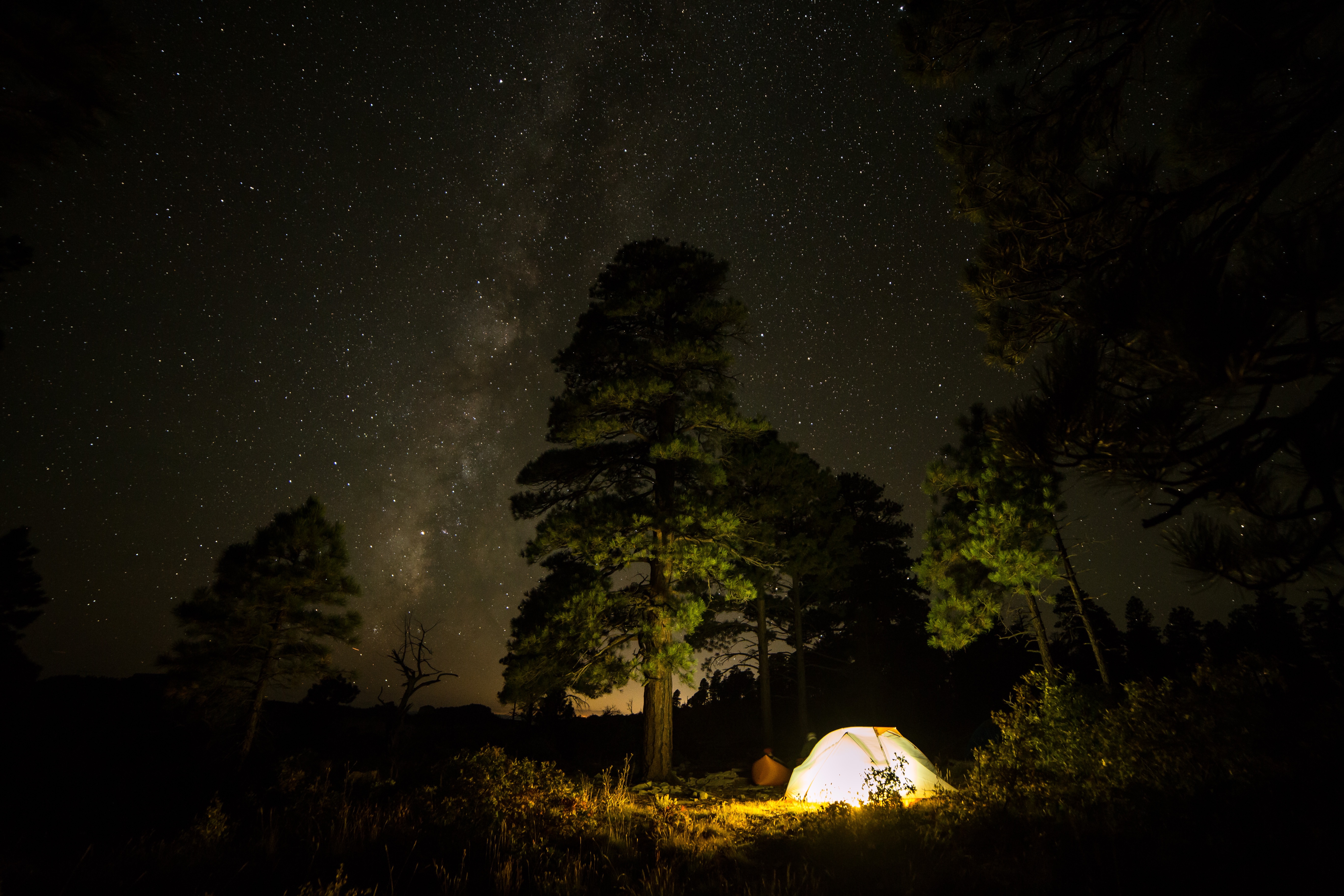 Free photo A glowing tent in the forest at night.