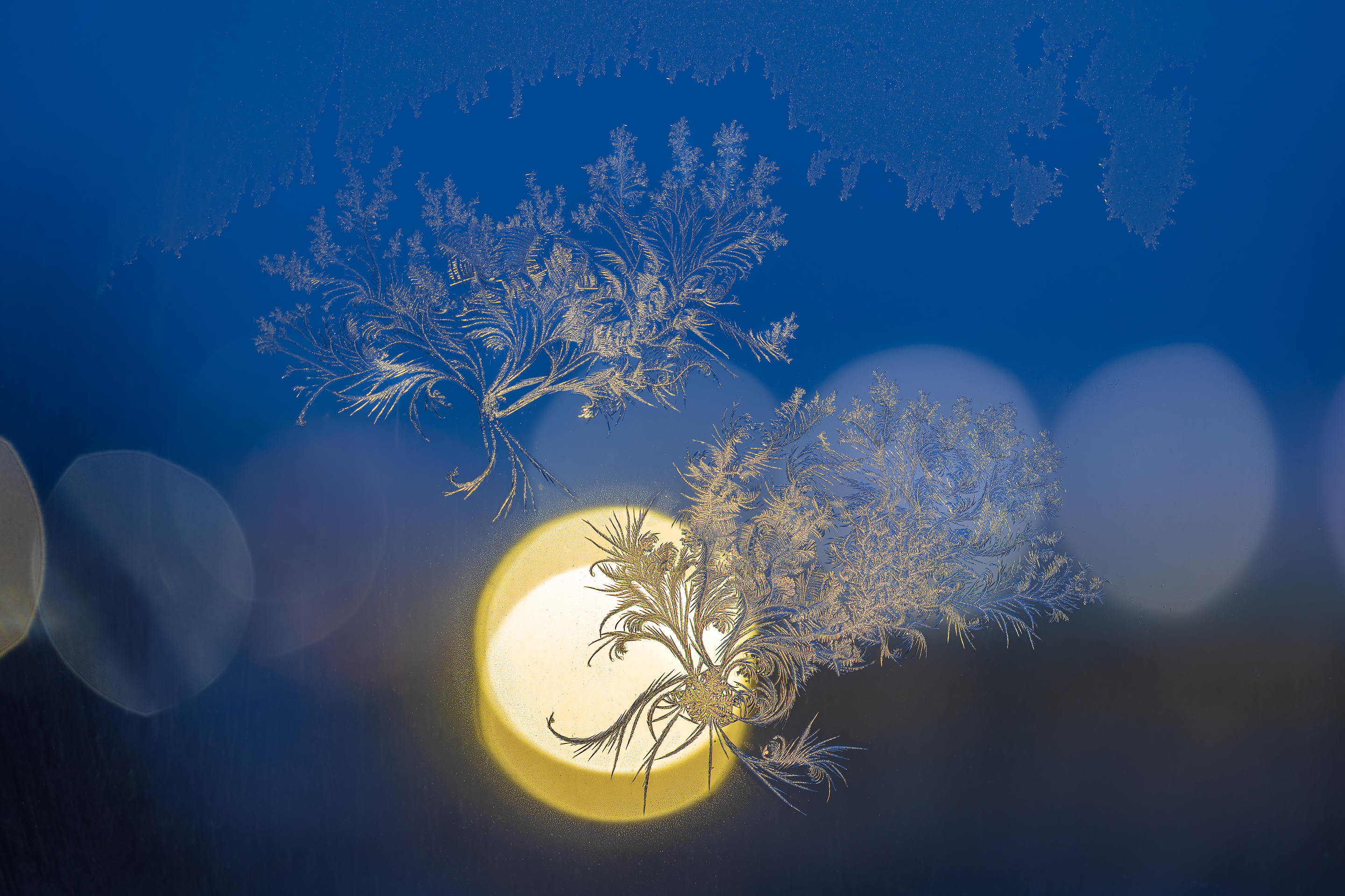 Бесплатное фото Морозные узоры на окне