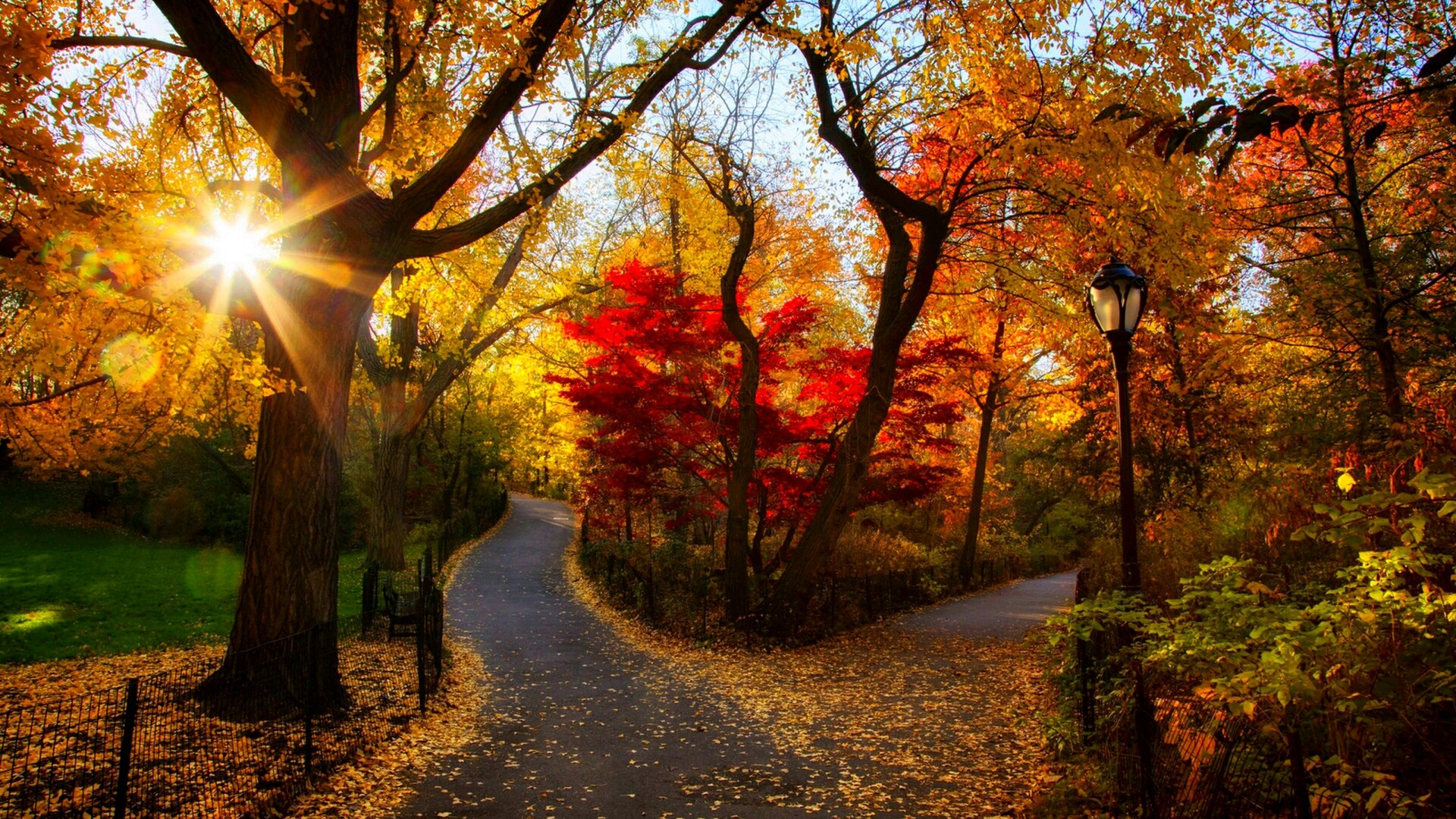 Free photo A walk through the park in autumn colors