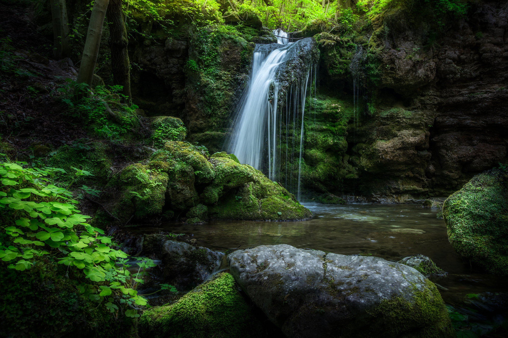 Wallpapers plants moss waterfall on the desktop