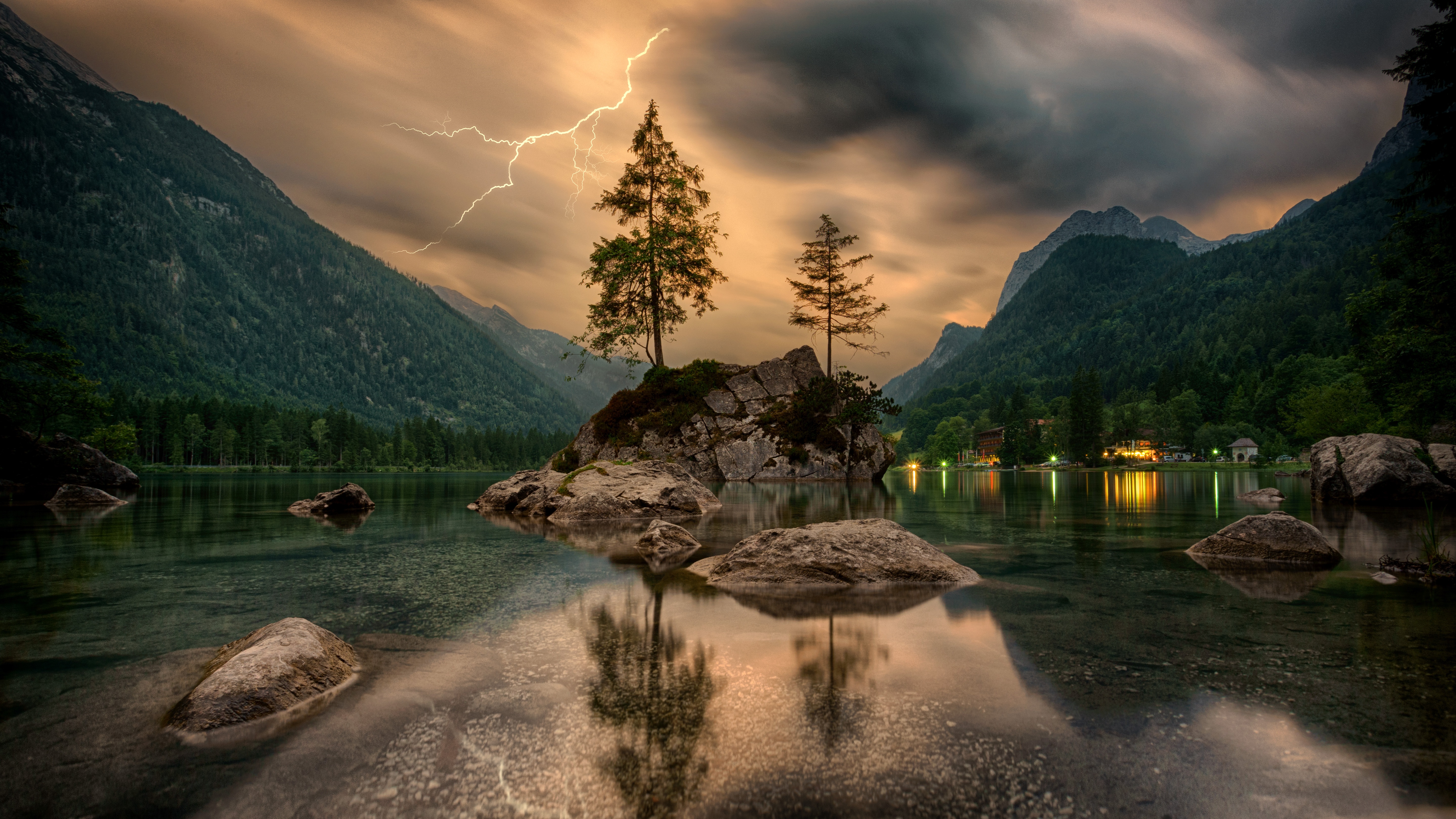 Trees grow on rock in the depths of the lake