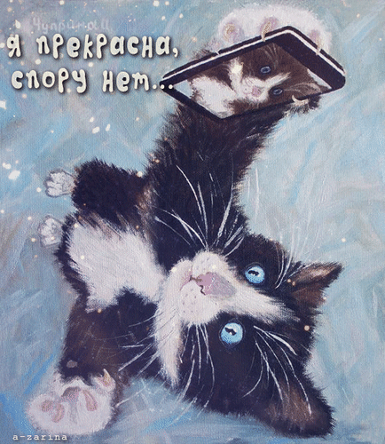 Открытка на тему кот зеркало анимация скачать бесплатно