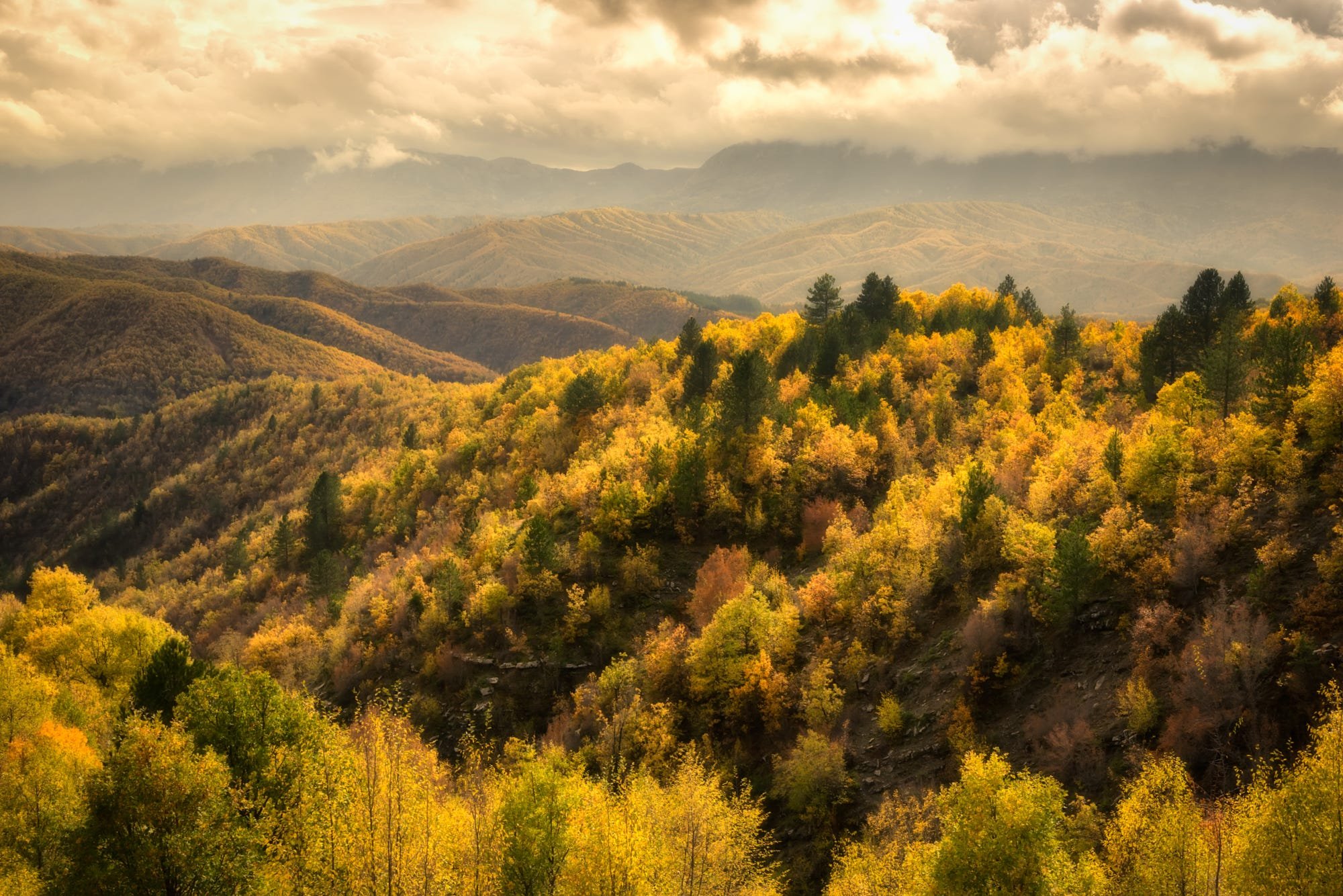 Autumn slopes of Altai