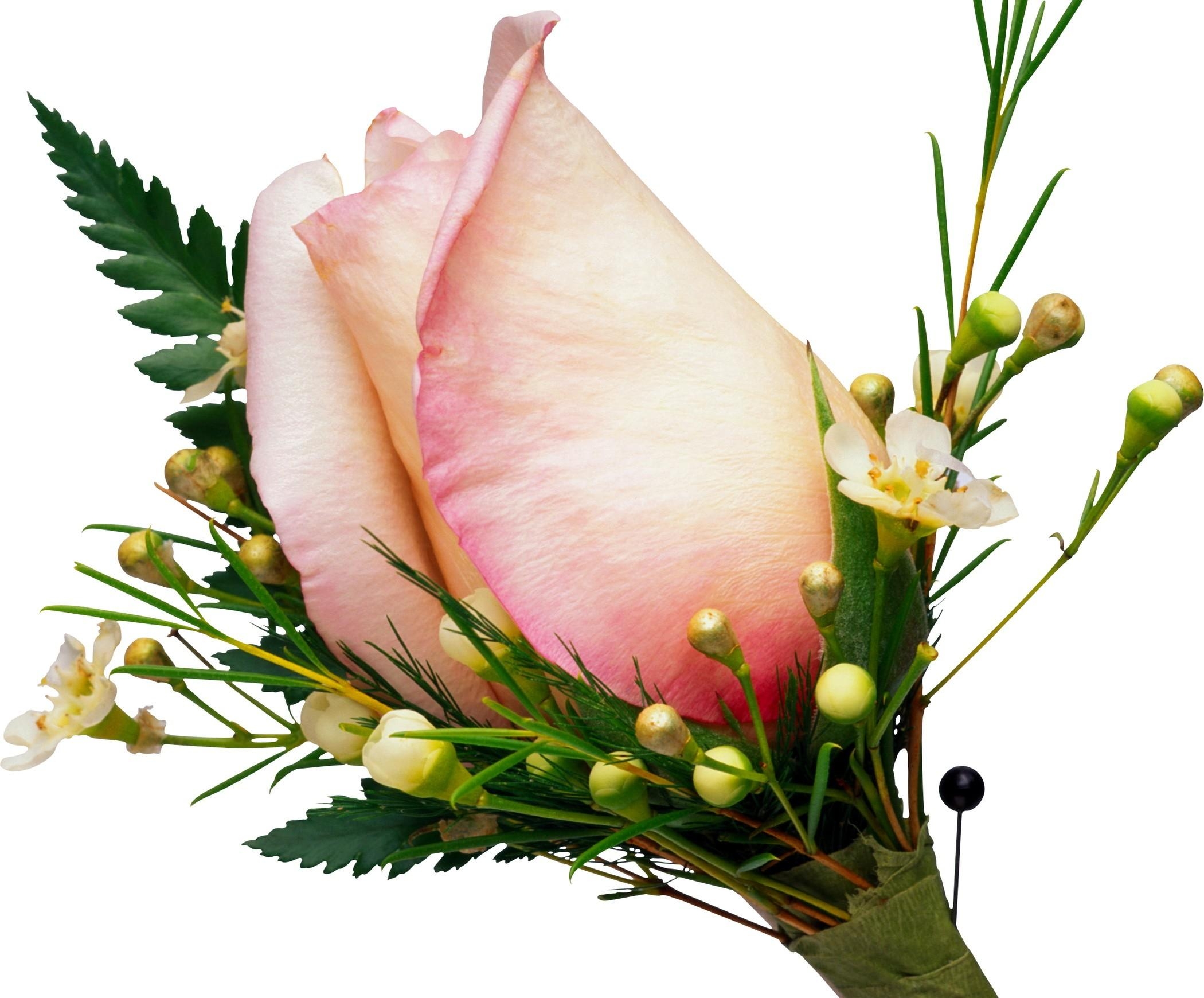 婚礼布托尼埃尔