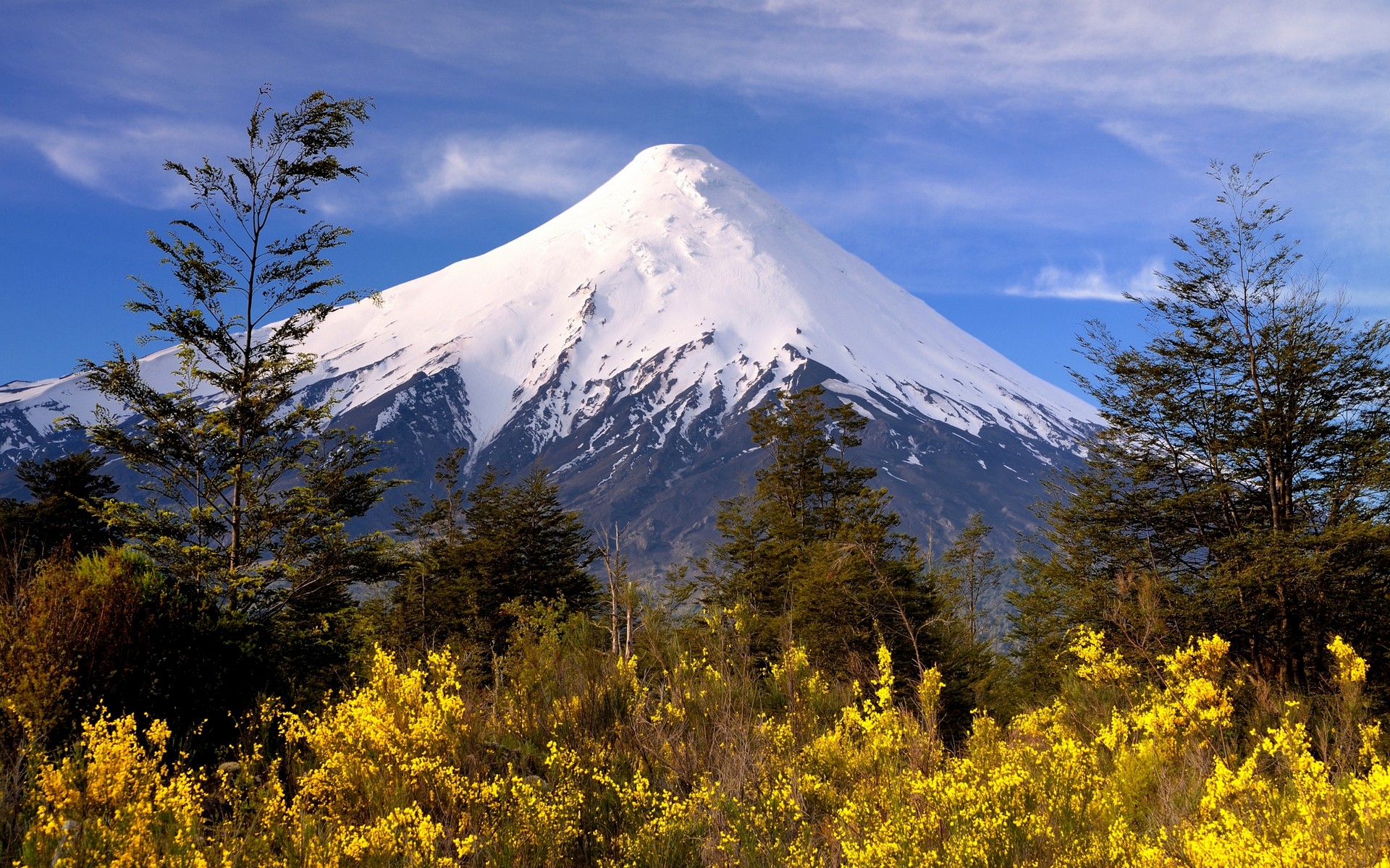 Wallpapers geographic feature wilderness array an forest on the desktop