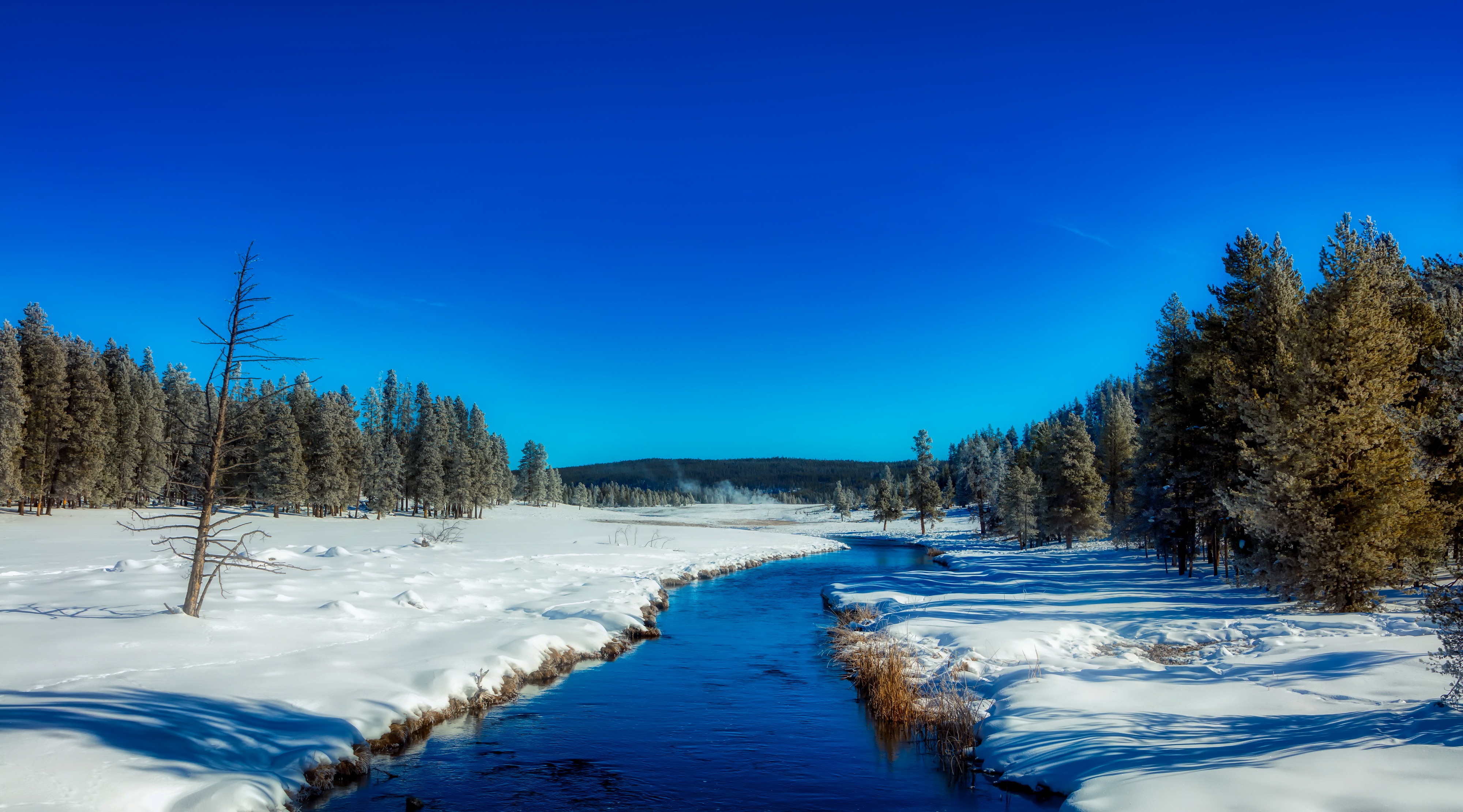 Wallpapers Yellowstone national Park Wyoming America on the desktop