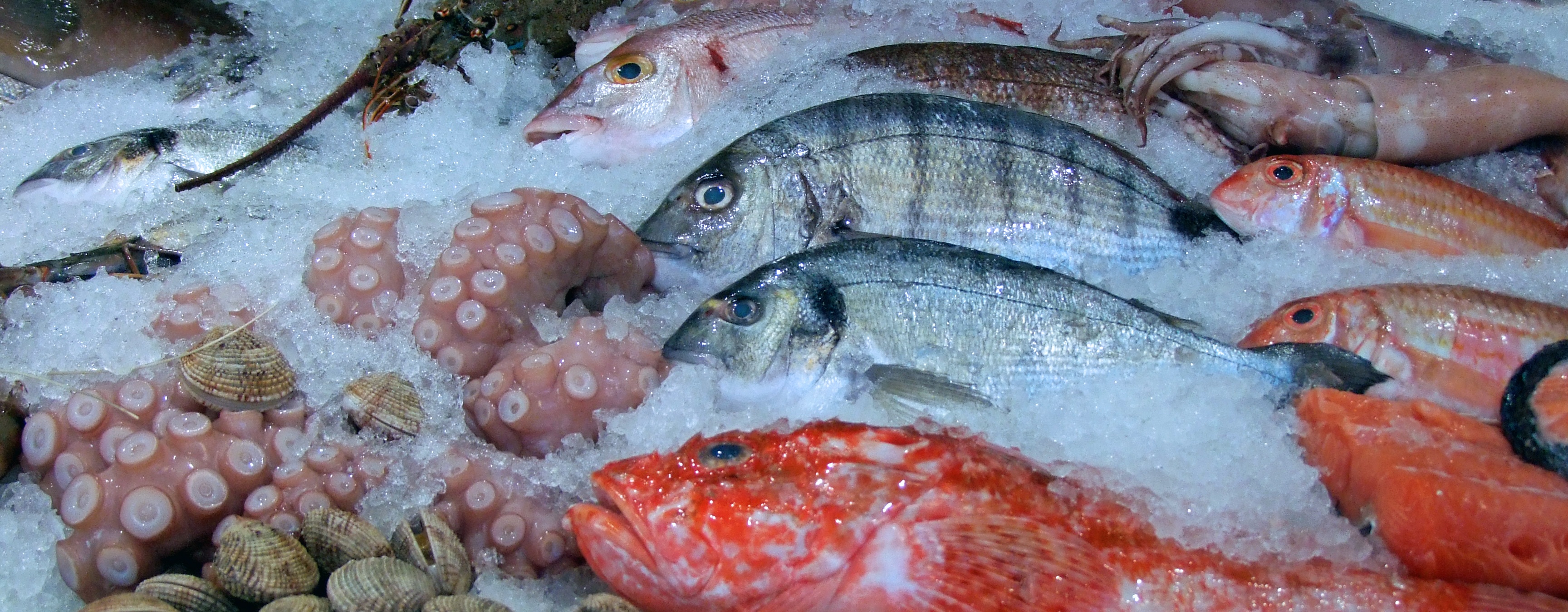 Free photo Marine fish frozen in salt pellets