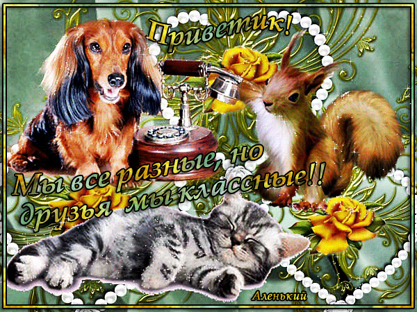 Открытка на тему открытки разные прикольные собака белка скачать бесплатно